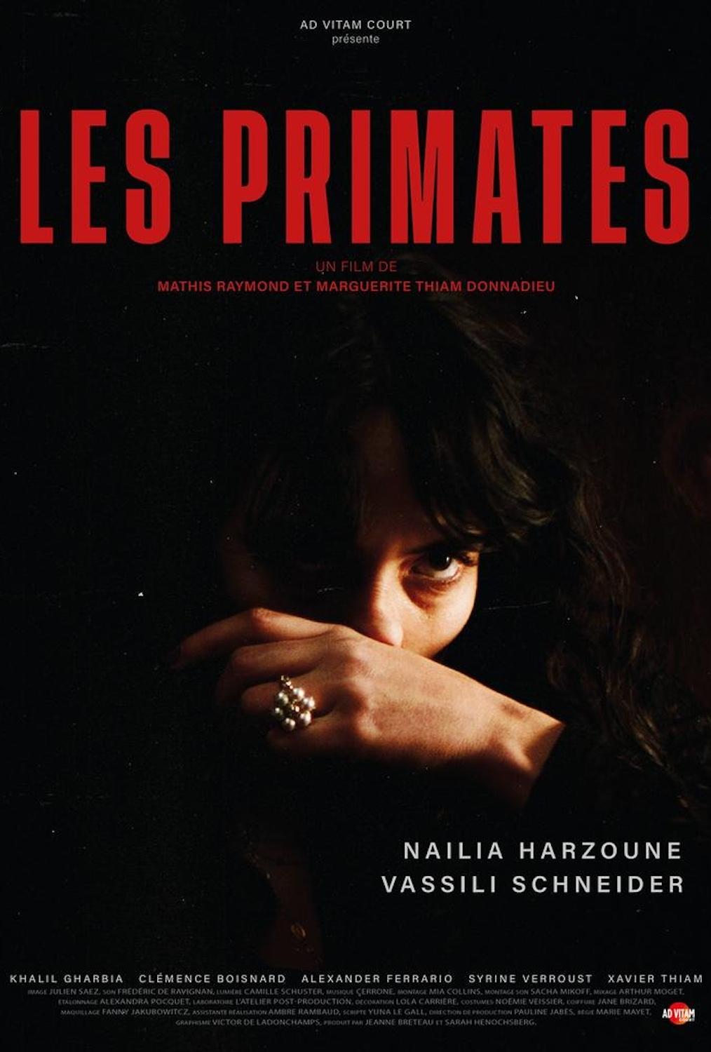 Primates - Bild 1 von 3