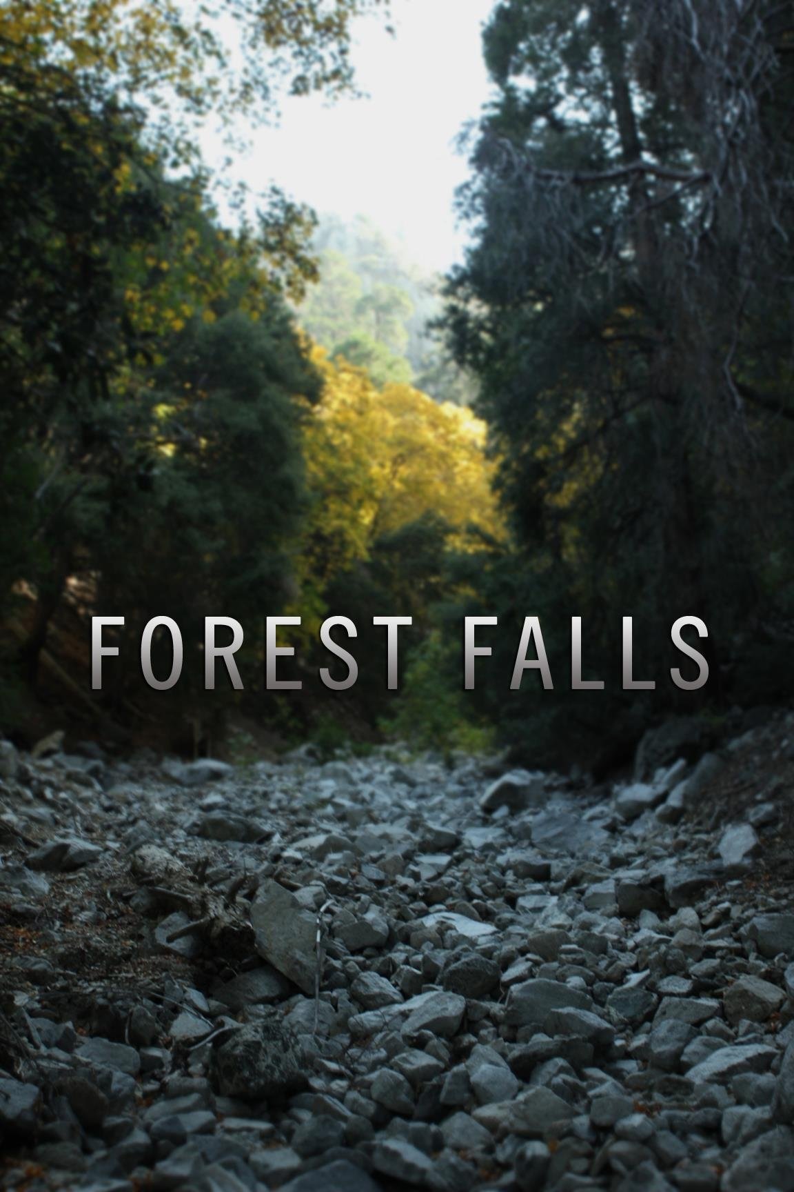 Forest Falls - Bild 1 von 5