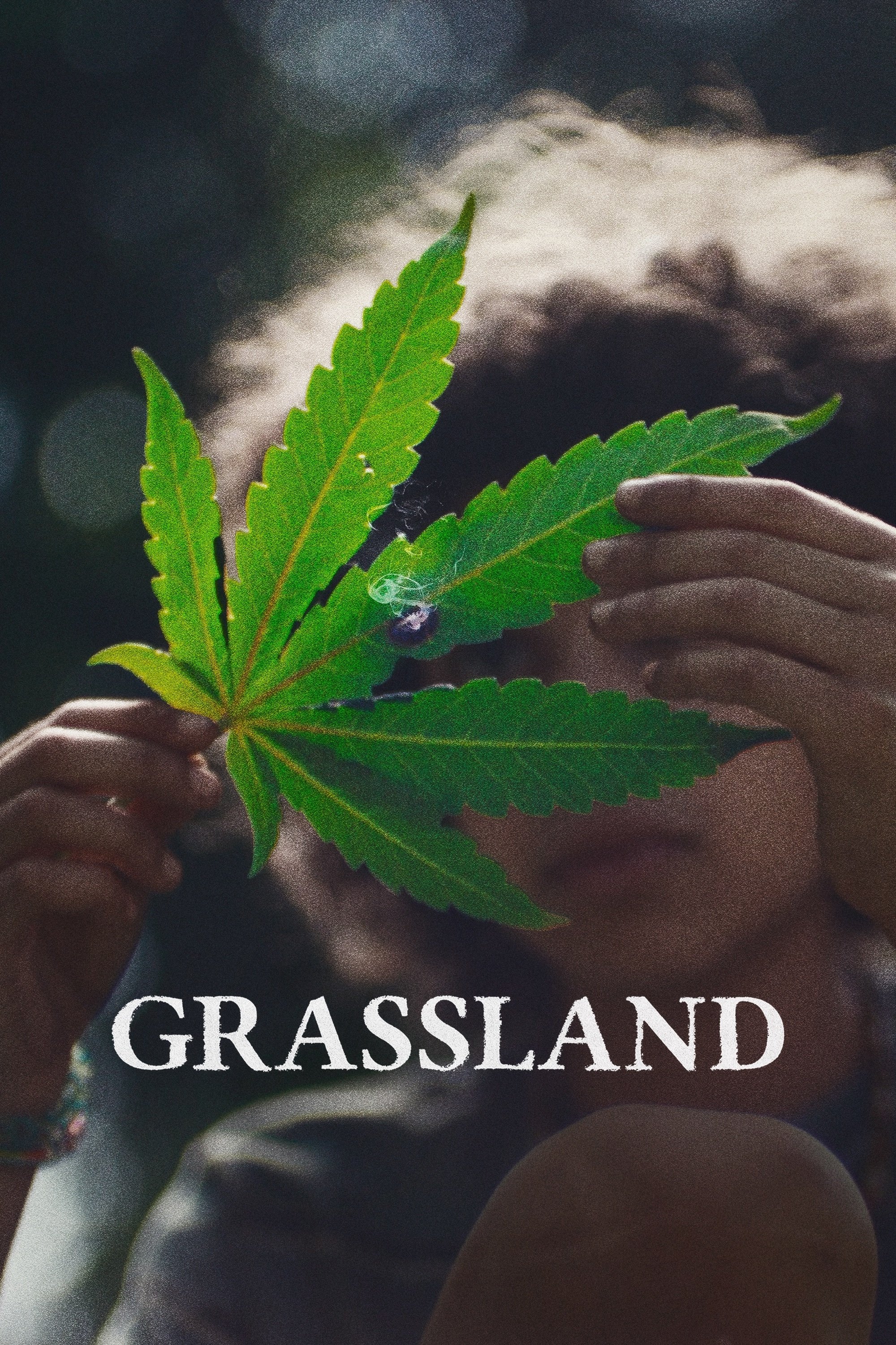 Grassland - Bild 1 von 9