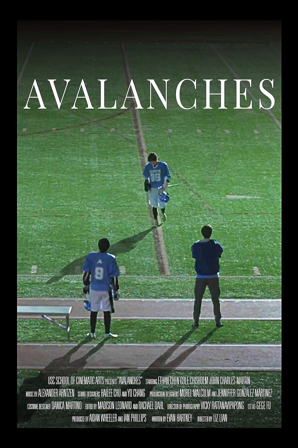 Avalanches - Bild 1 von 3