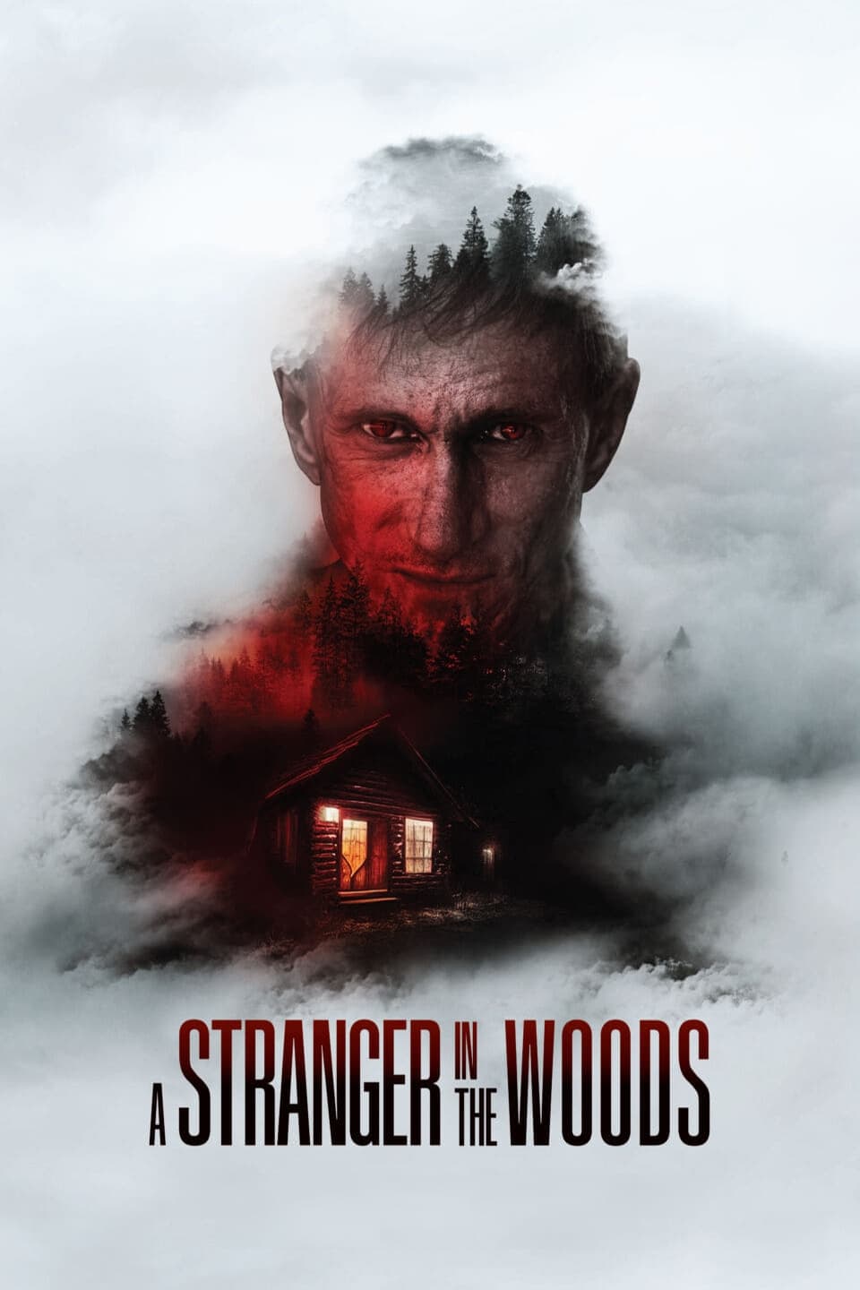 A Stranger in the Woods - Bild 1 von 7
