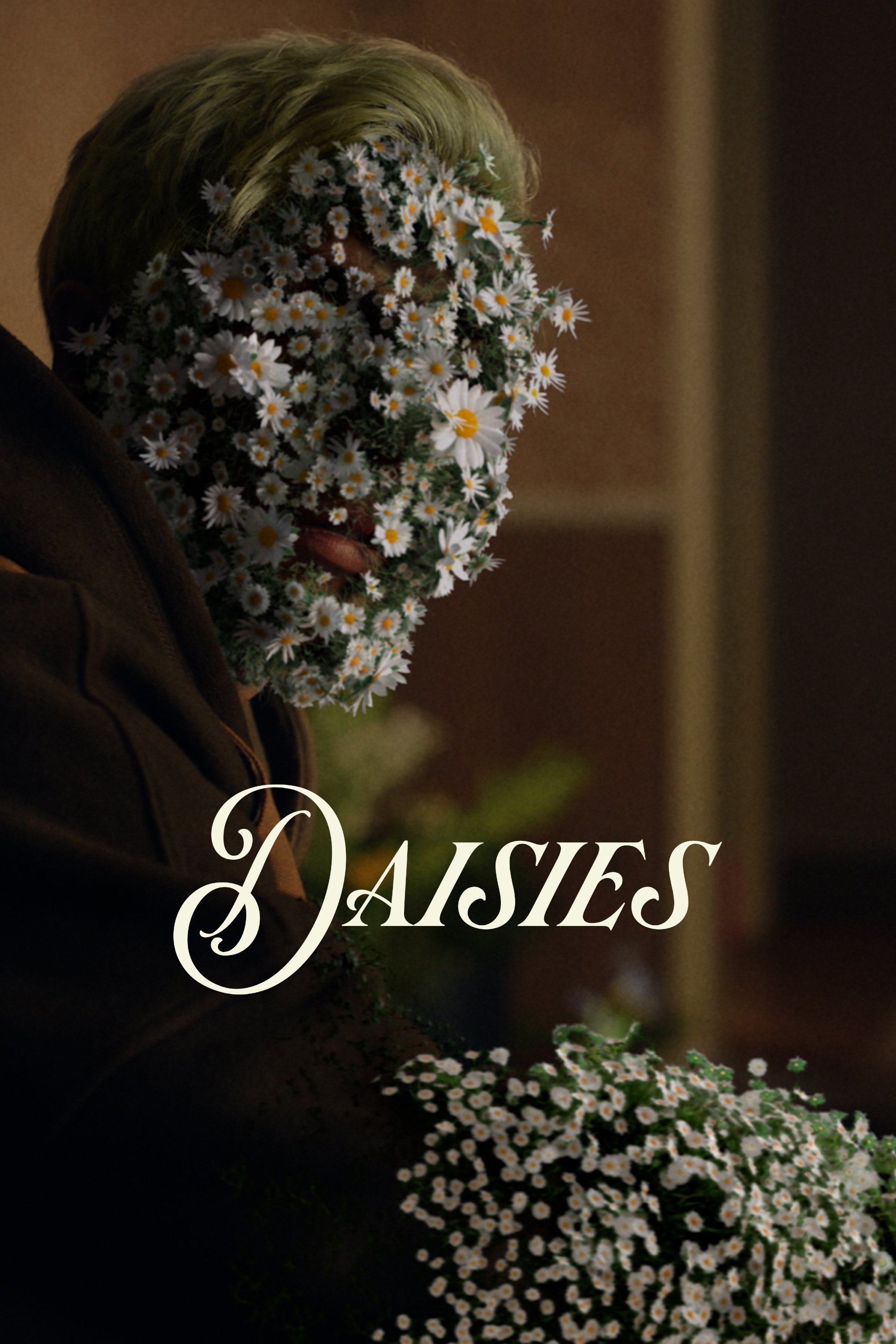 Daisies - Bild 1 von 3