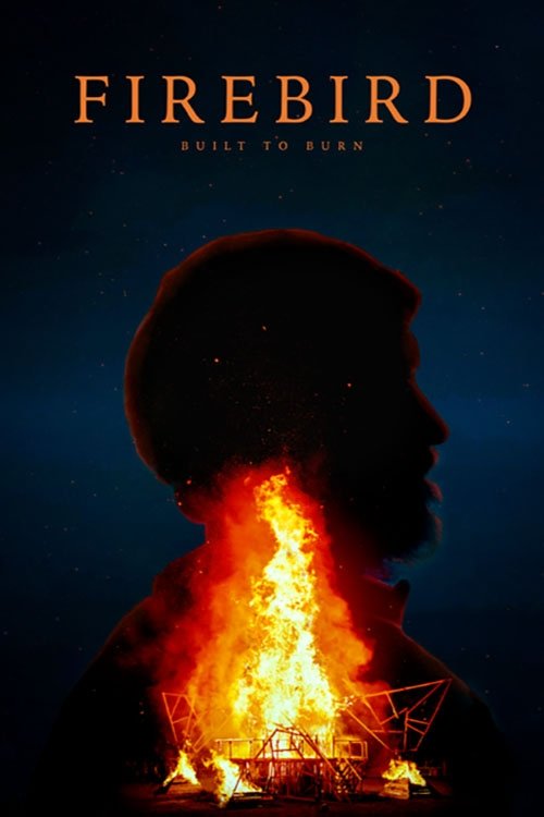 Firebird: Built to Burn - Bild 1 von 3