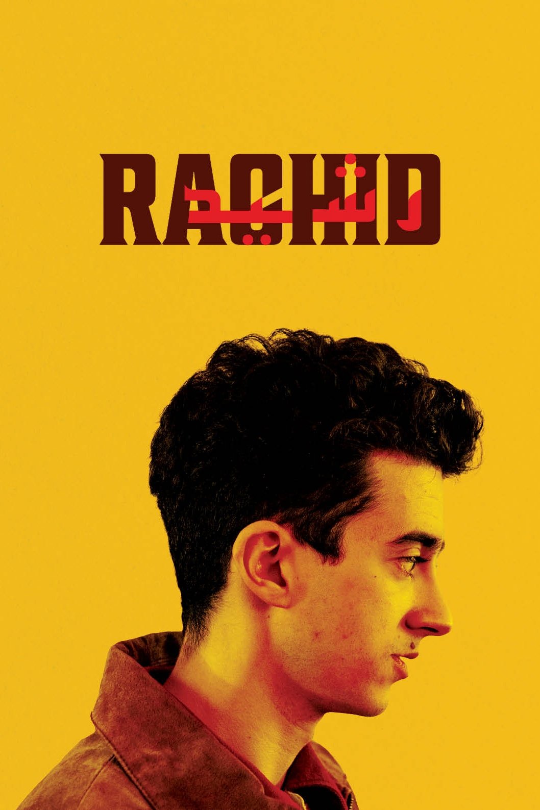 Rachid - Bild 1 von 7