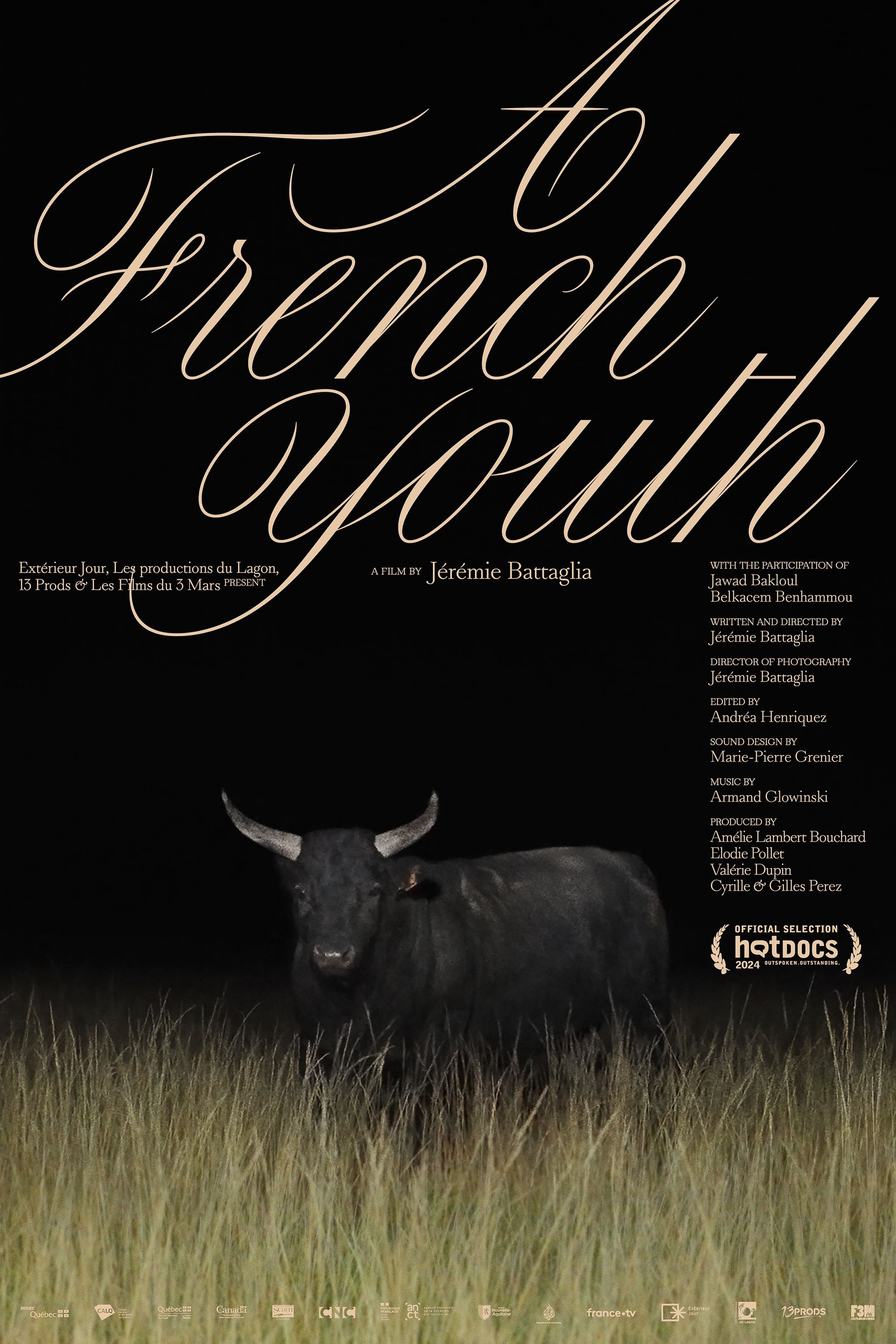 A French Youth - Bild 1 von 15