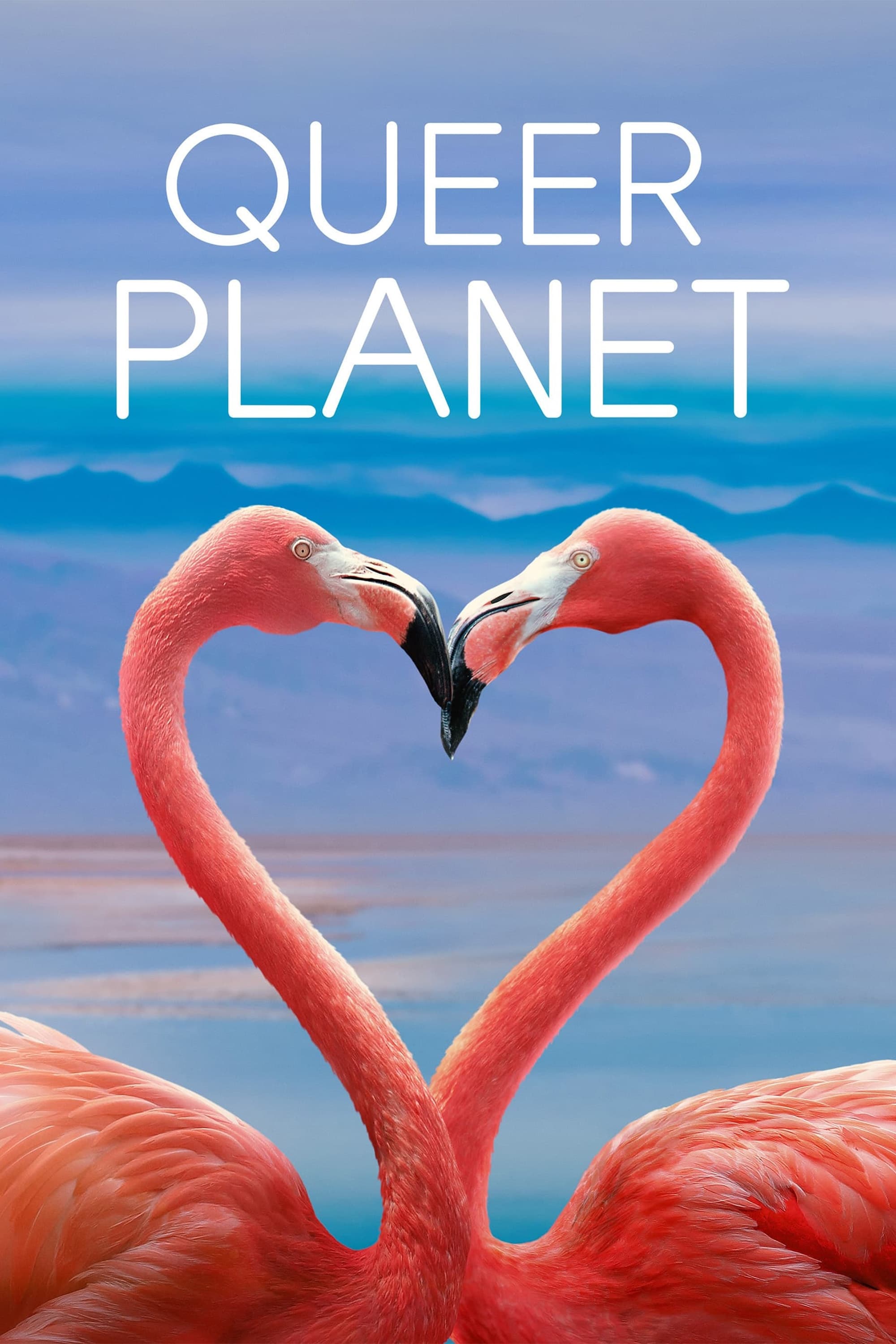 Queer Planet - Bild 1 von 19