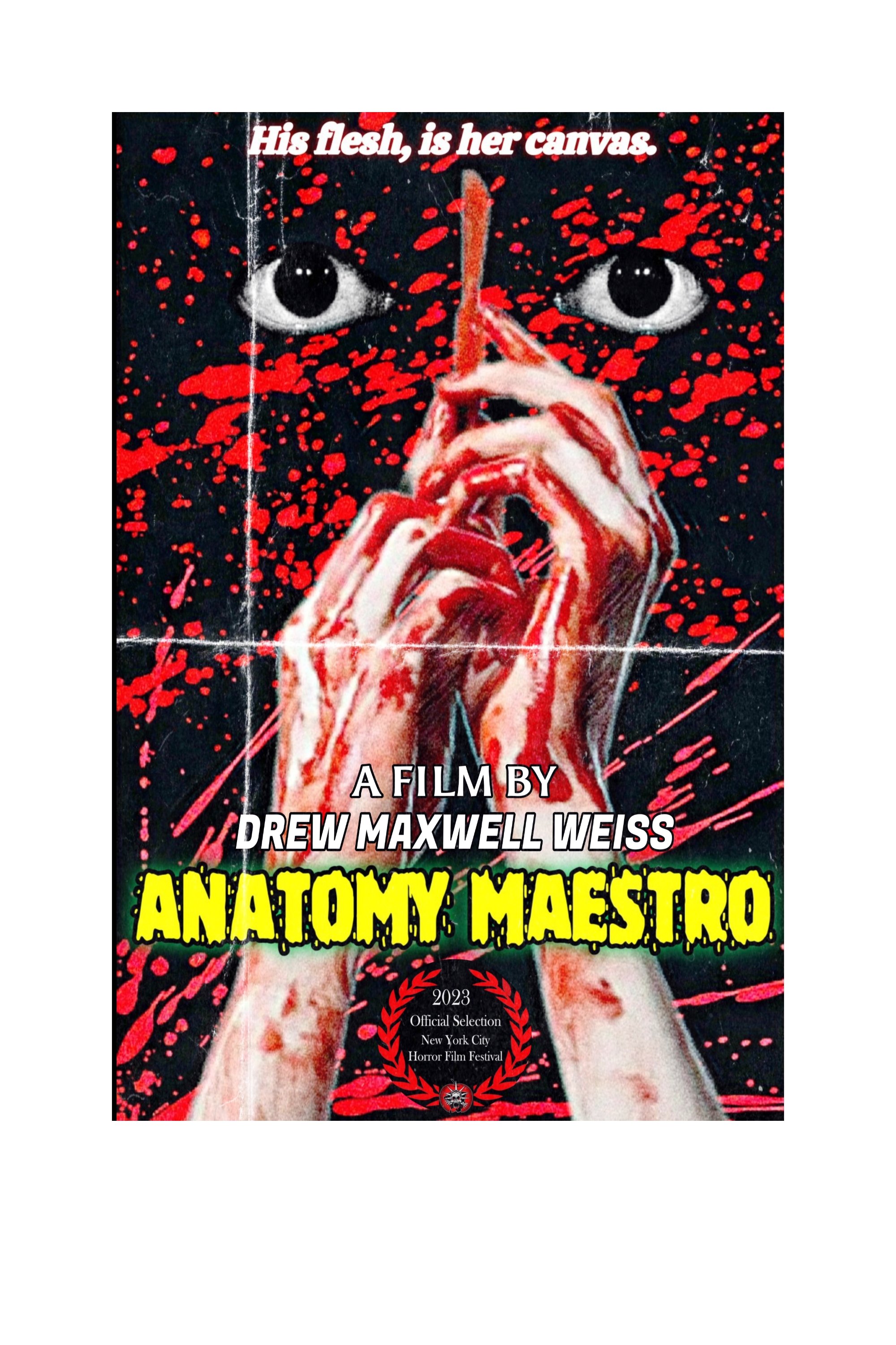 The Anatomy Maestro - Bild 1 von 3