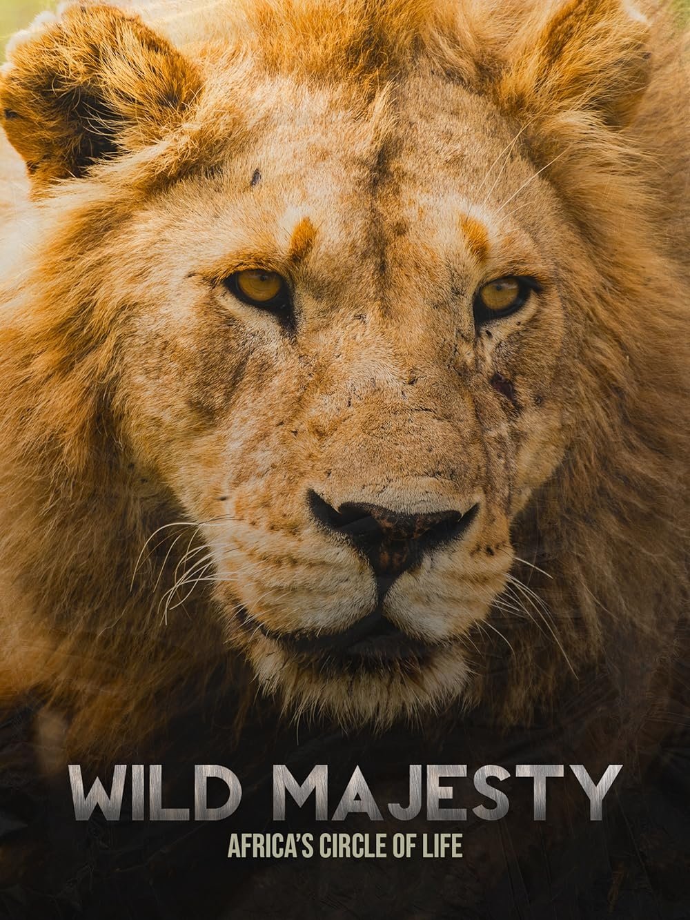 Wild Majesty: Africa's Circle of Life - Bild 1 von 3
