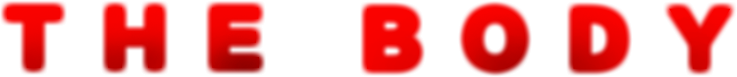 Thumbnail 15 von 19
