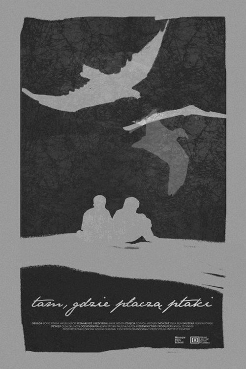 Where the Birds Cry - Bild 1 von 3