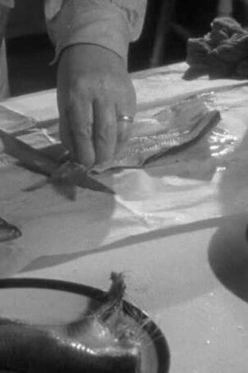 Herrings - Bild 1 von 3
