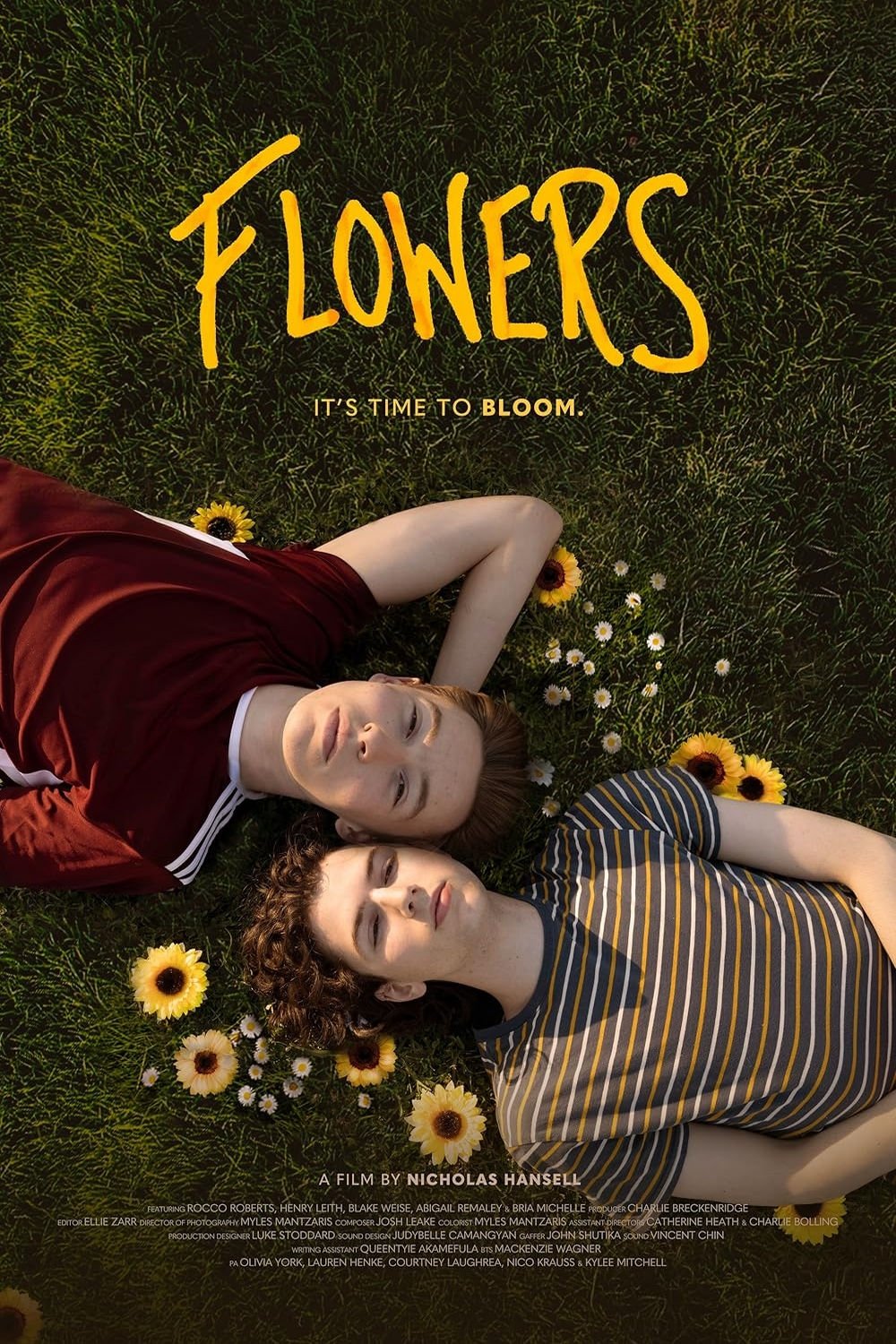Flowers - Bild 1 von 9