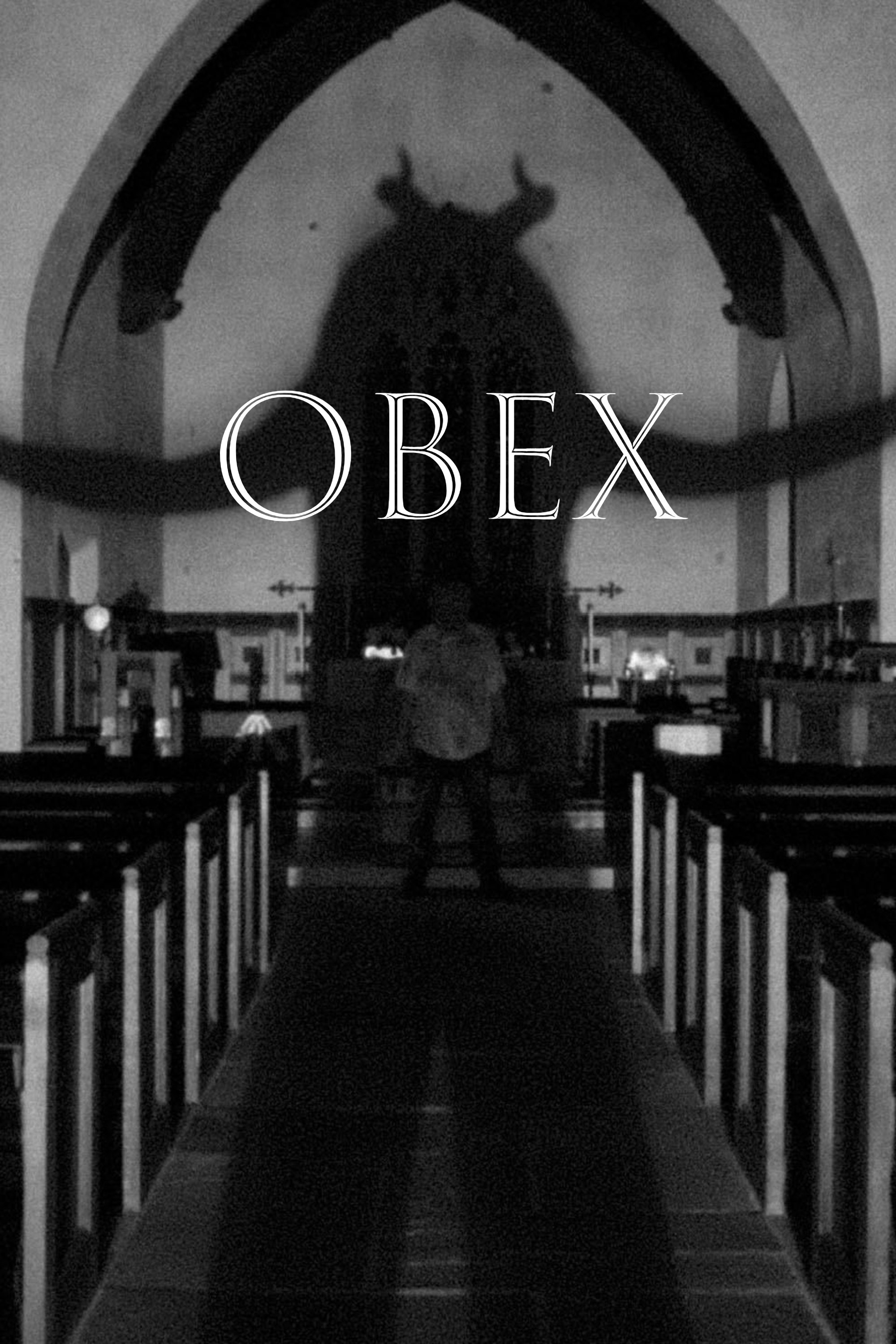 OBEX - Bild 1 von 13