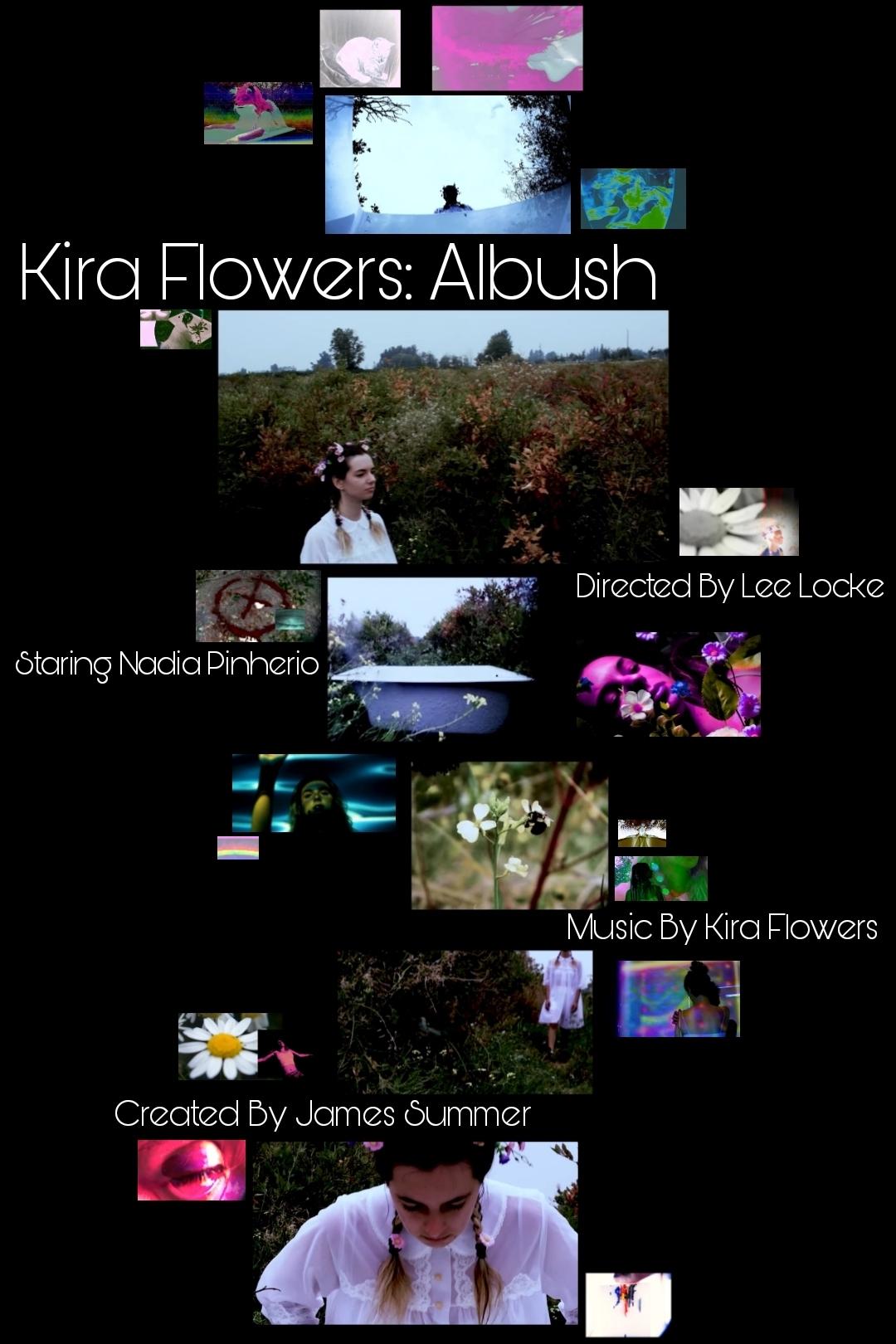 Kira Flowers - Albush - Bild 1 von 3