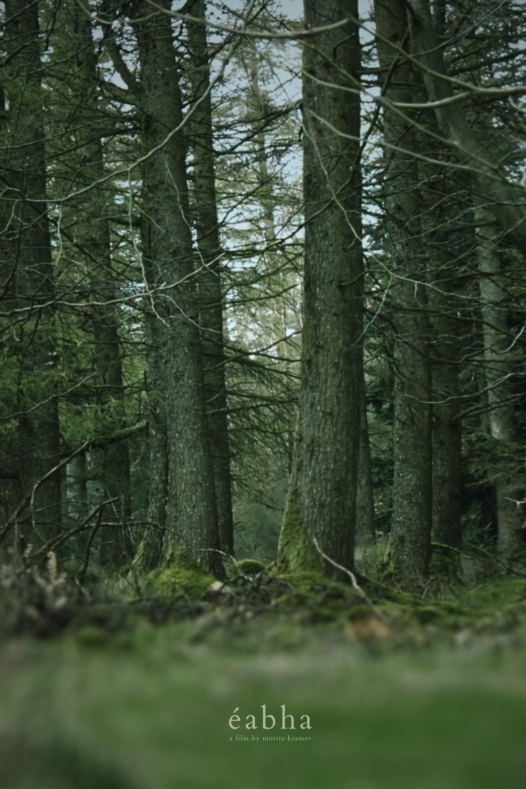 Éabha - Bild 1 von 11