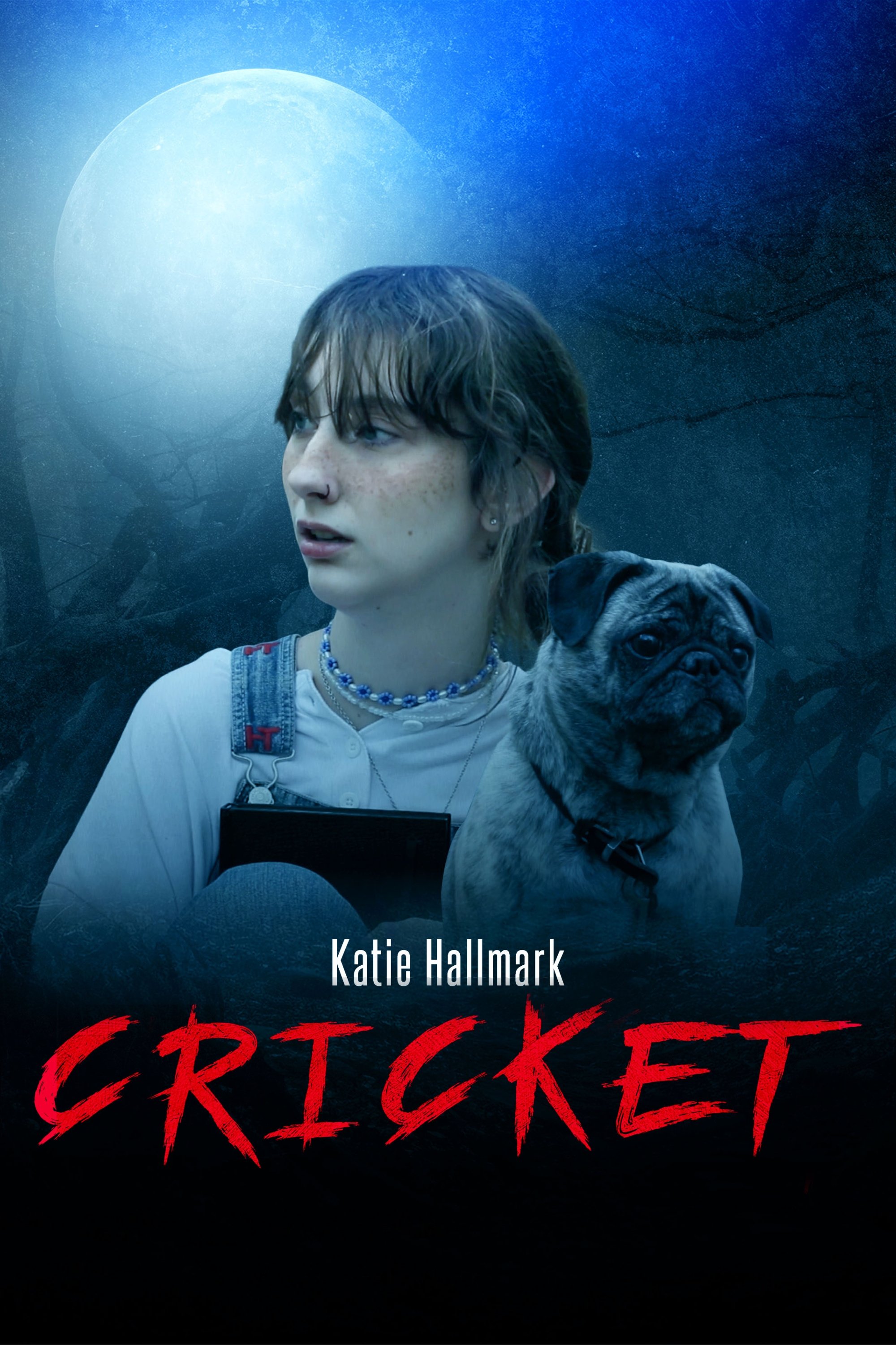 CRICKET - Bild 1 von 3
