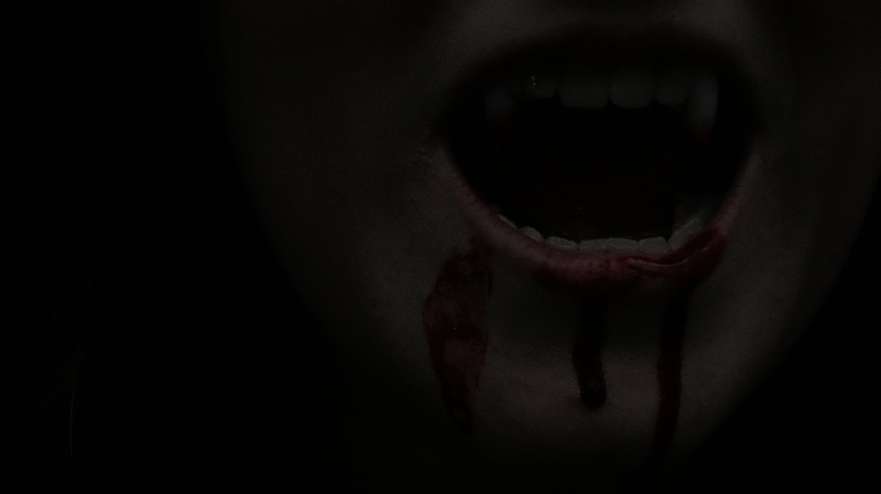 Thumbnail 4 von 5
