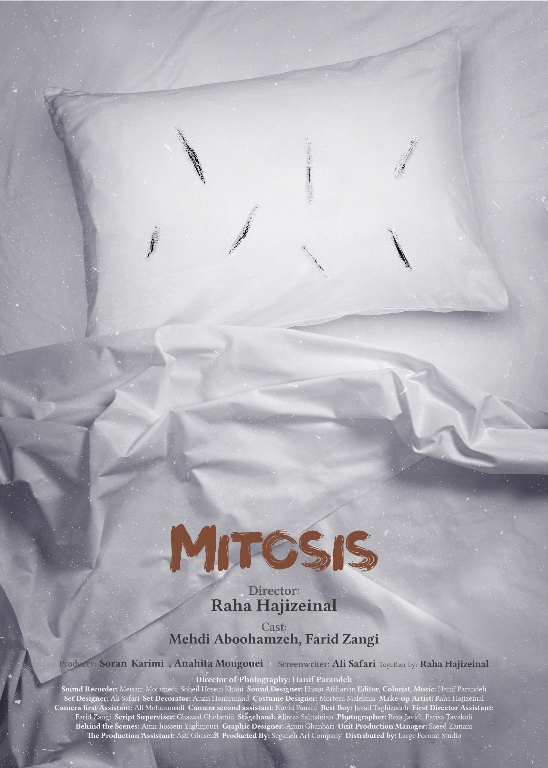 Mitosis - Bild 1 von 9