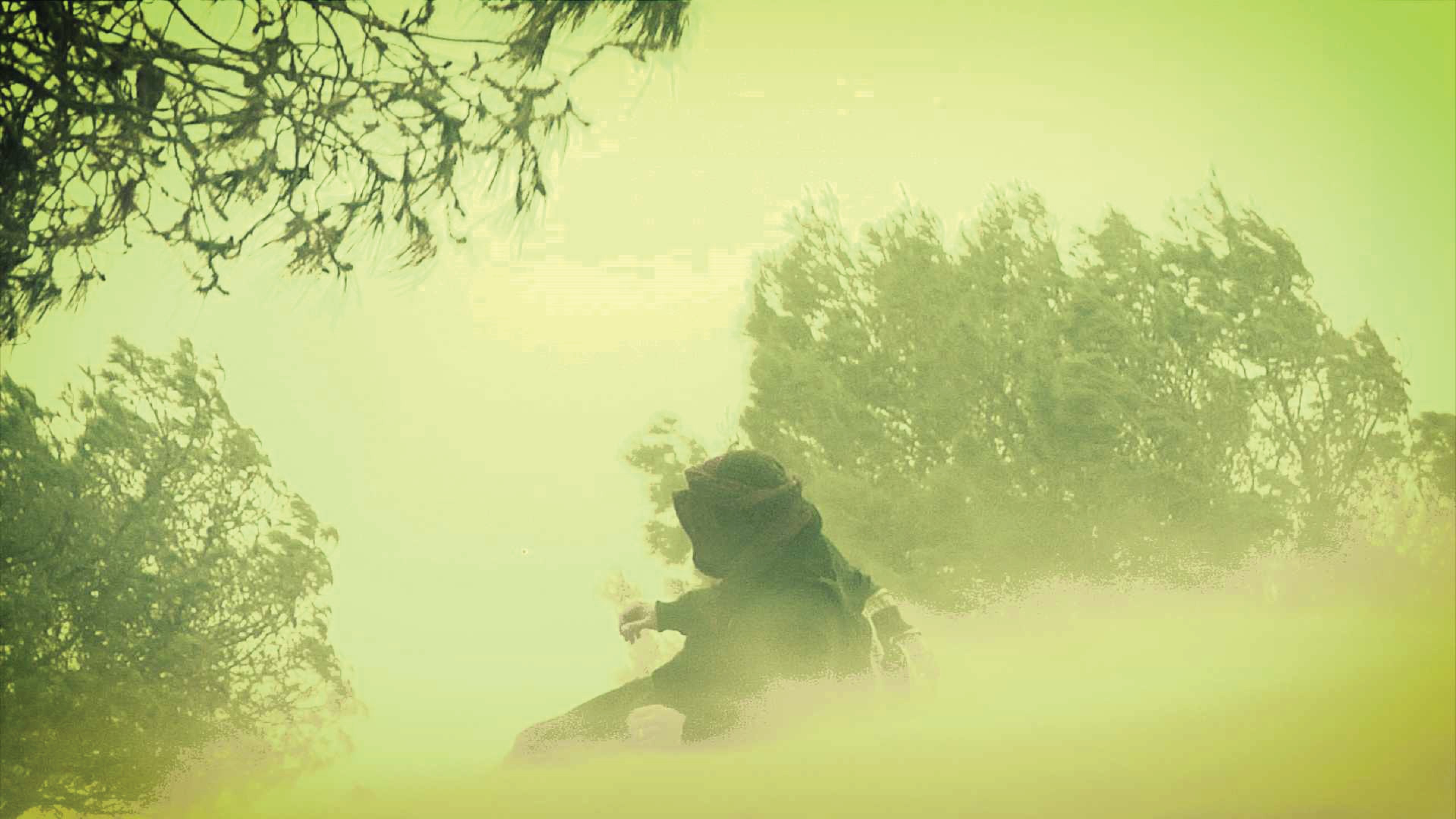 Thumbnail 4 von 5