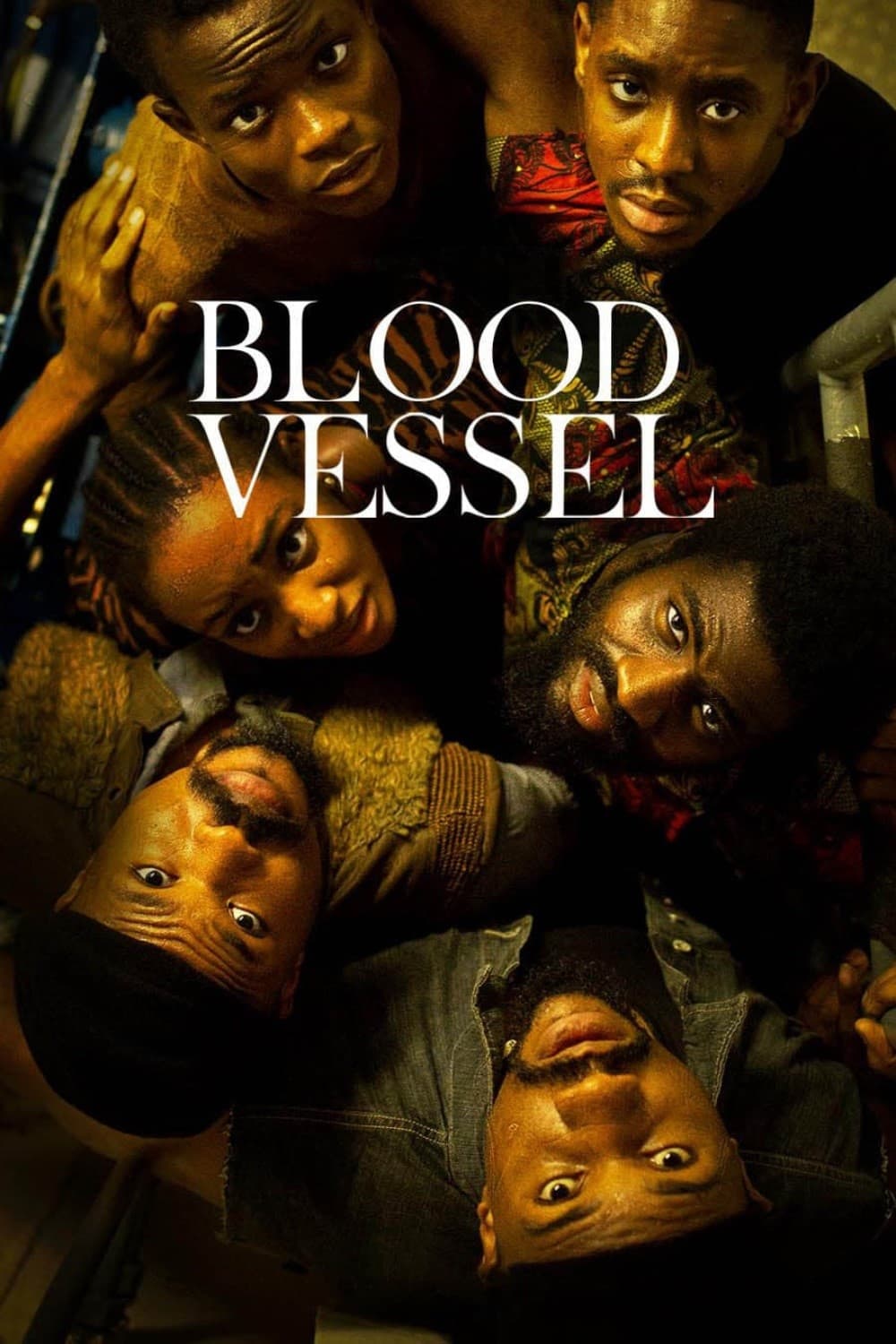 Blood Vessel - Bild 1 von 15