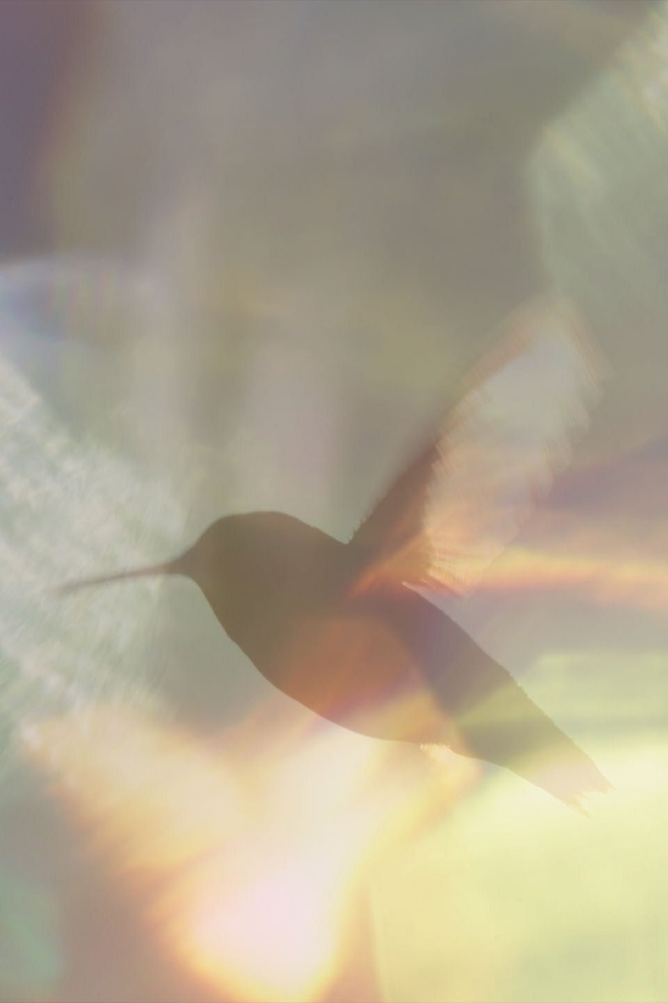 Thumbnail 13 von 13
