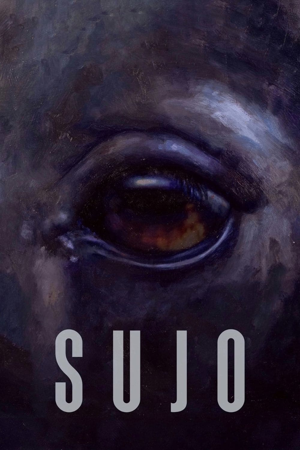 Sujo - Bild 1 von 17