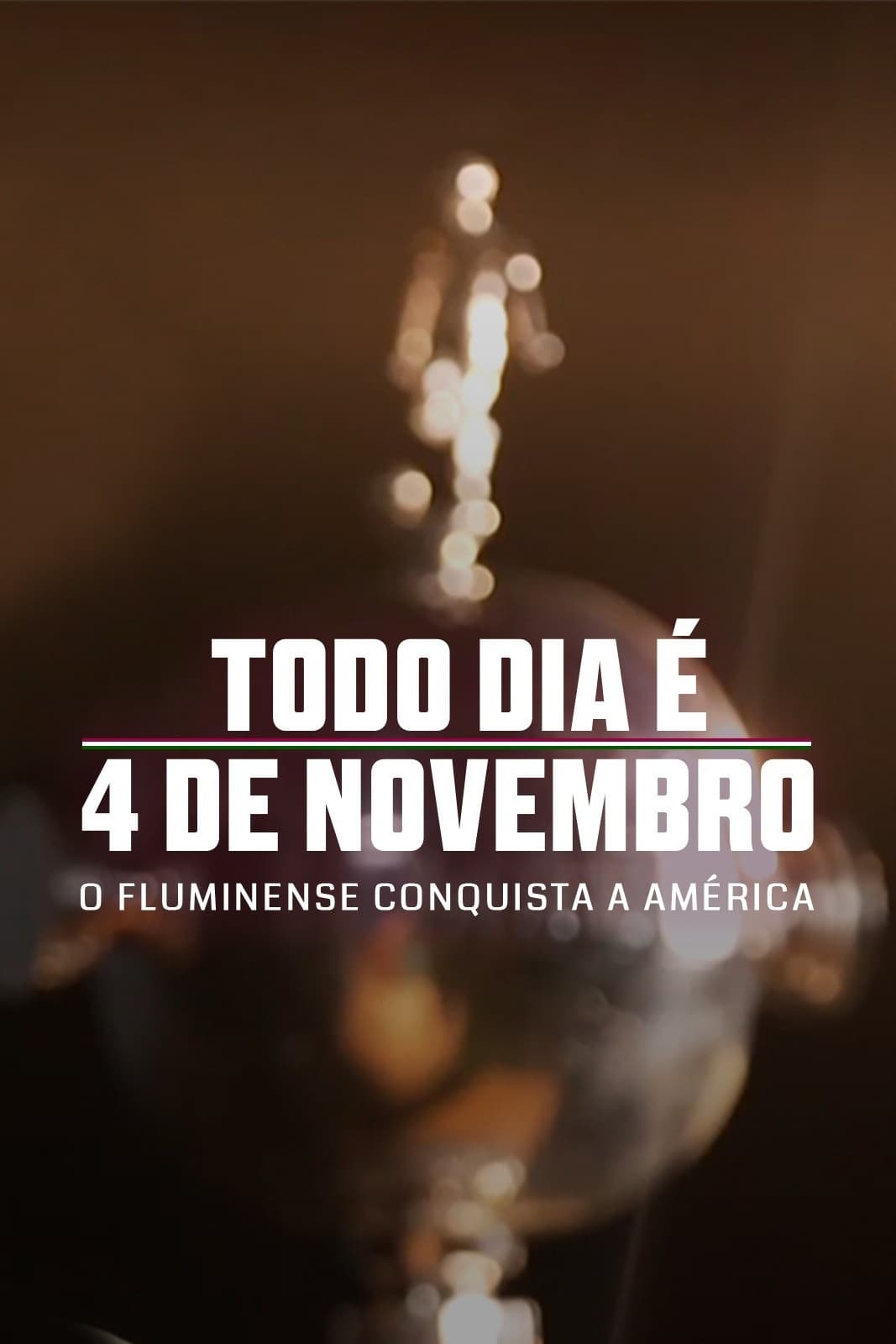 Todo Dia é 4 de Novembro: O Fluminense Conquista a América - Bild 1 von 11