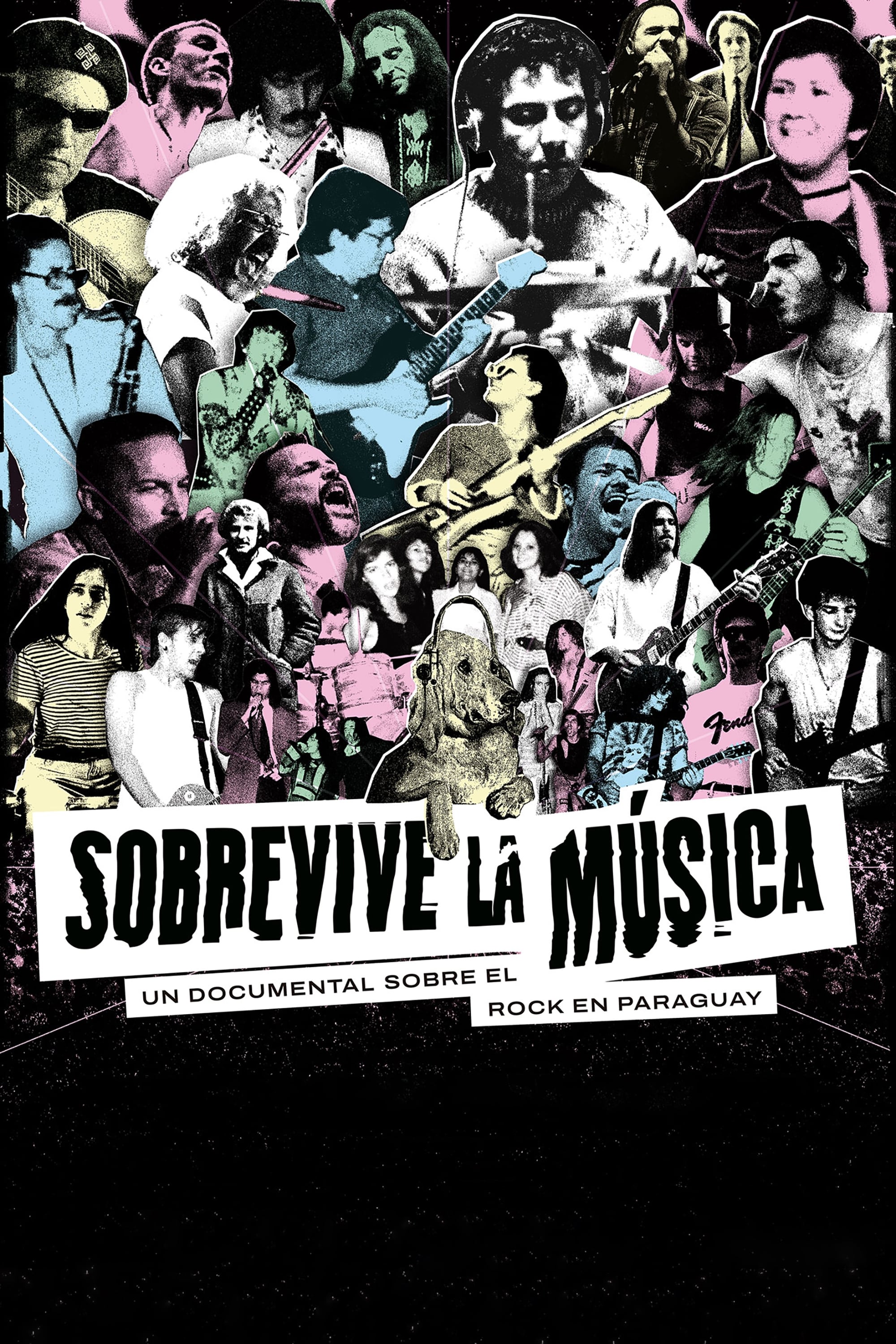 The Music Survives - Bild 1 von 5