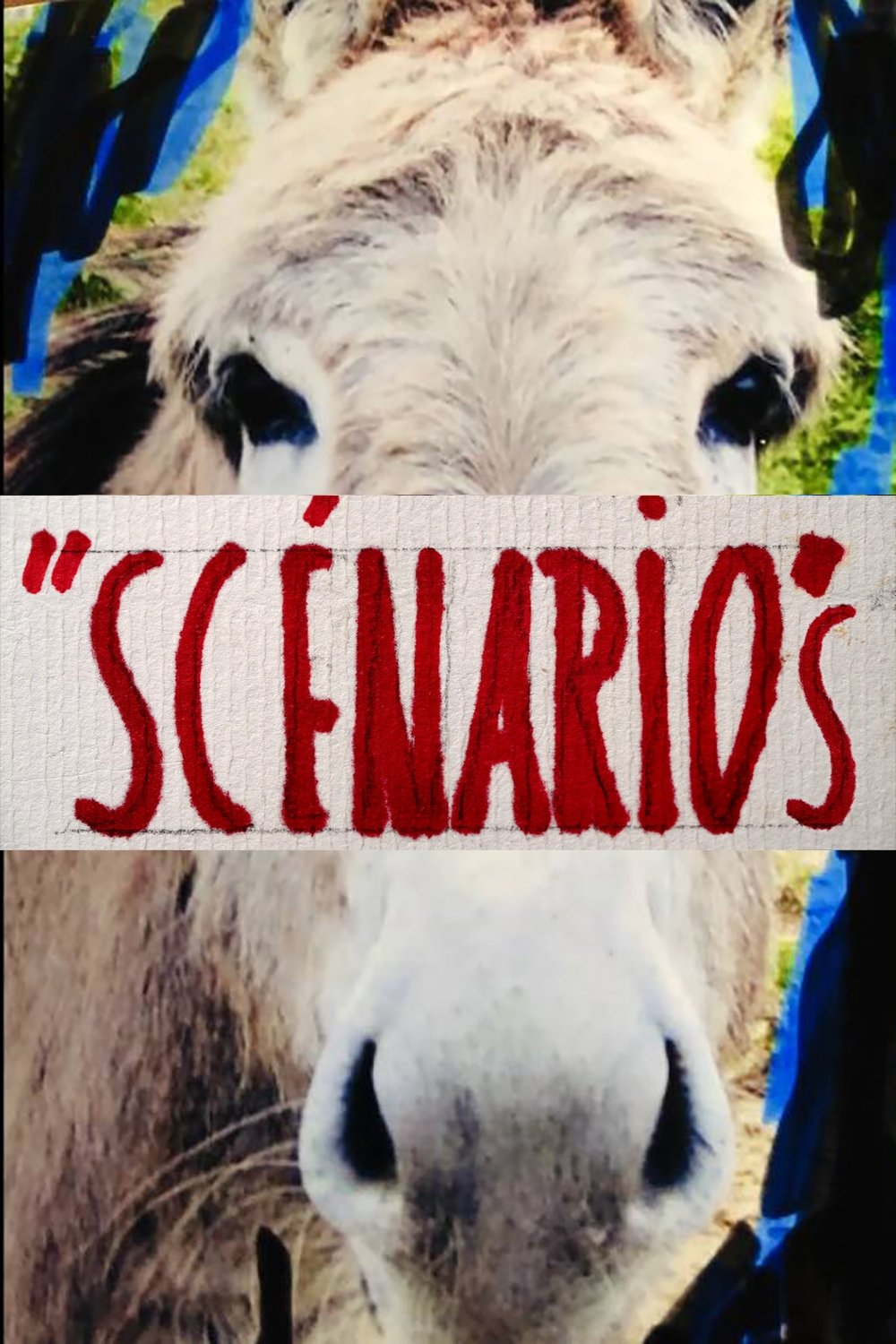 Scénarios - Bild 1 von 11