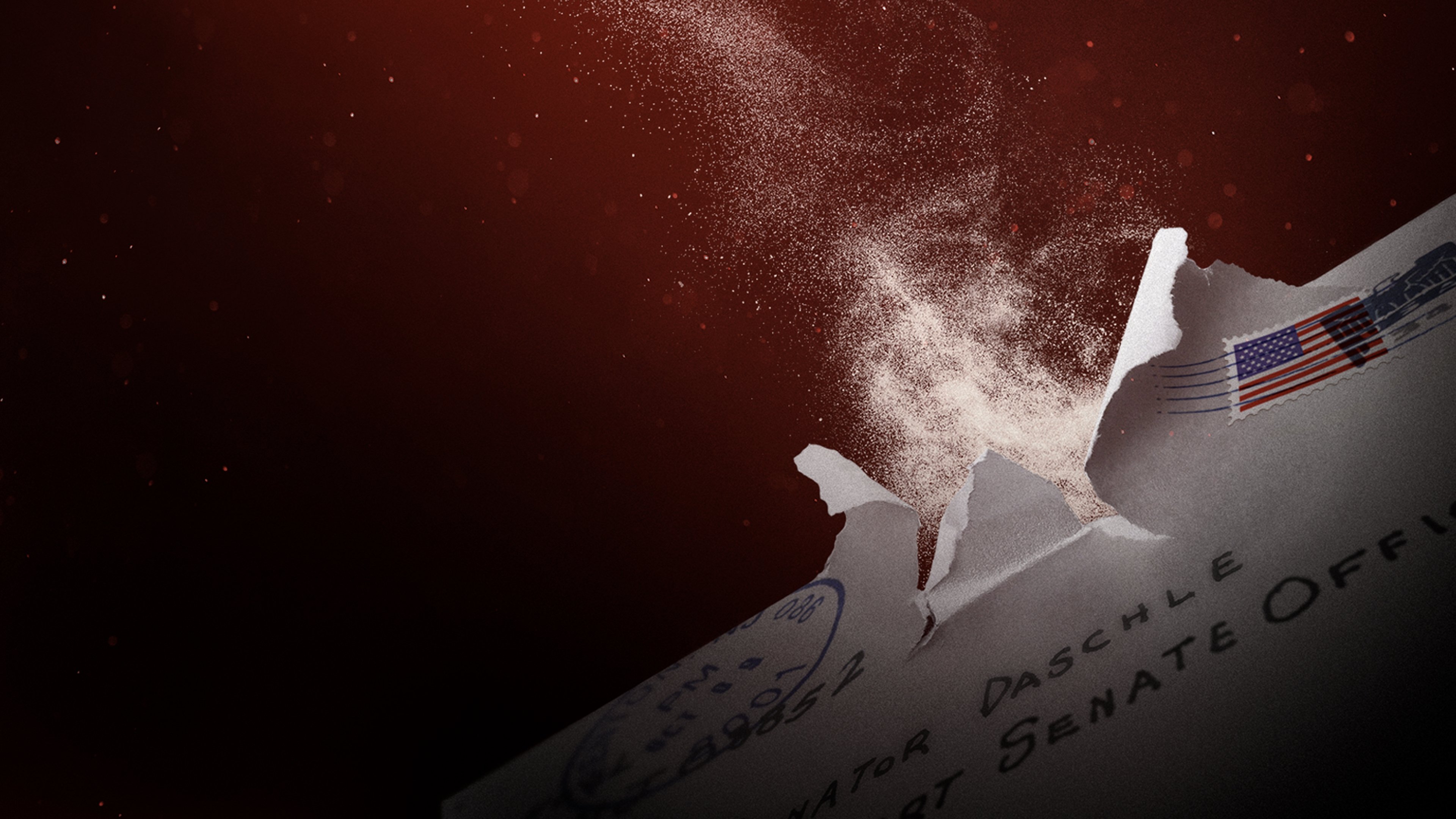 Thumbnail 9 von 10