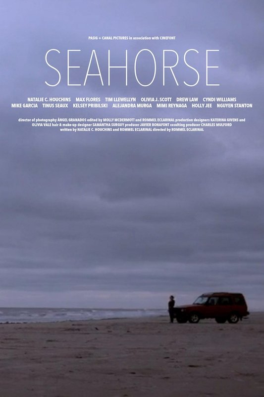 Seahorse - Bild 1 von 3