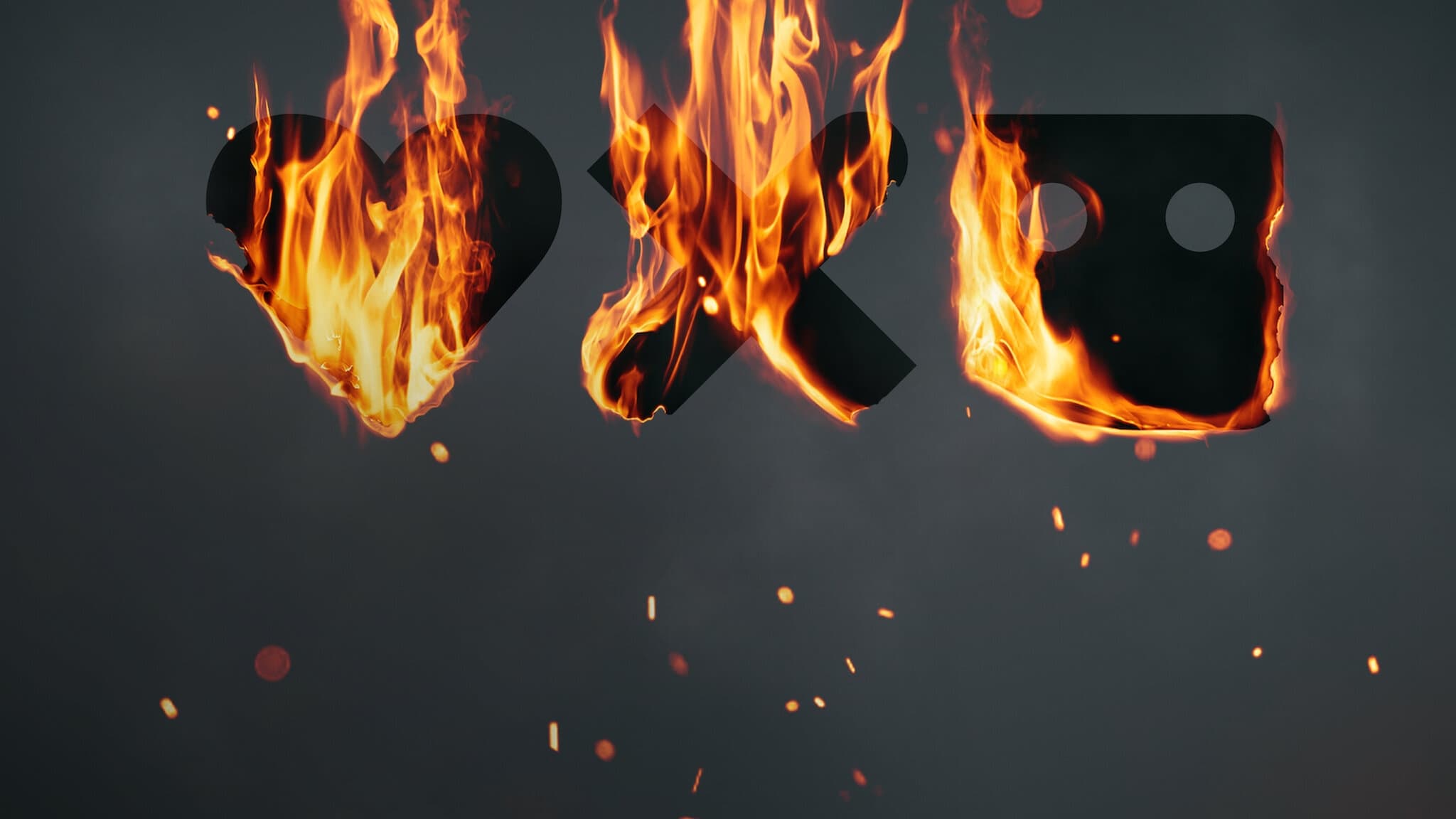 Thumbnail 3 von 11
