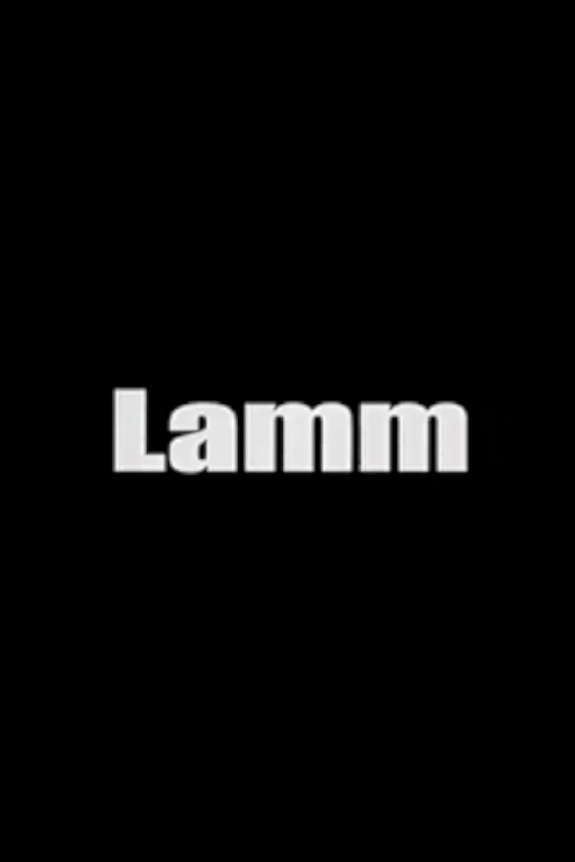 Lamm - Bild 1 von 3