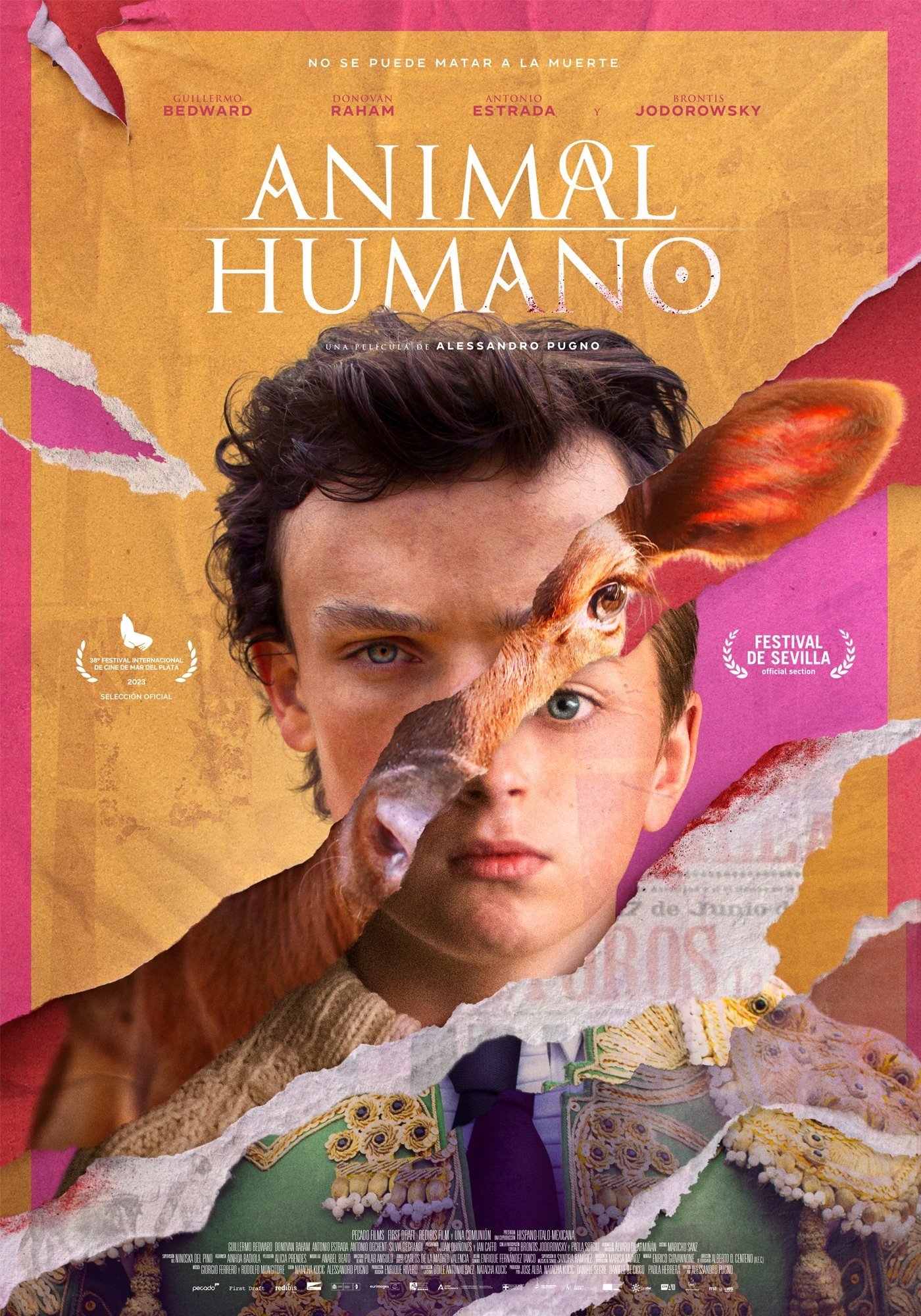 Animal | Human - Bild 1 von 3