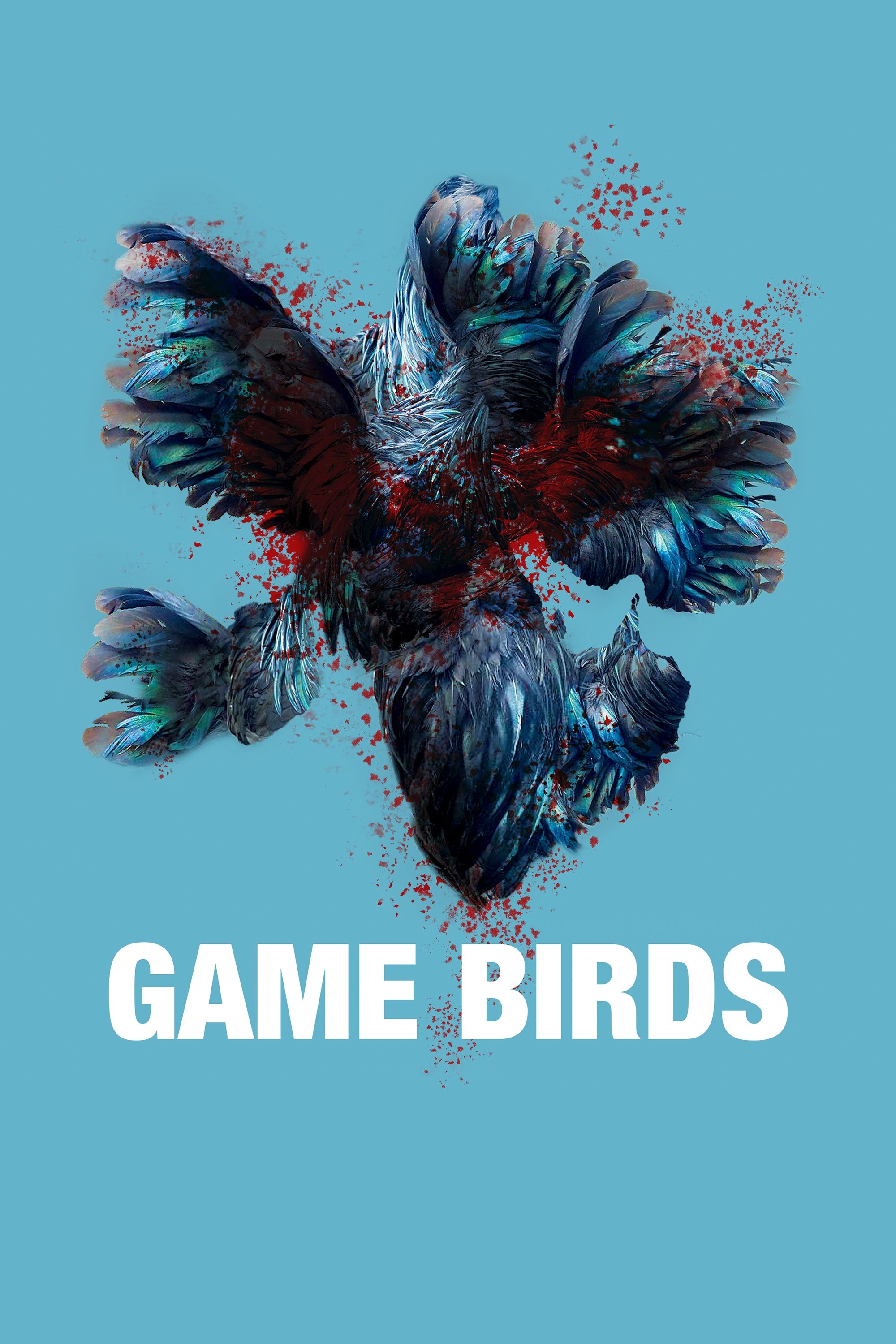 Game Birds - Bild 1 von 5