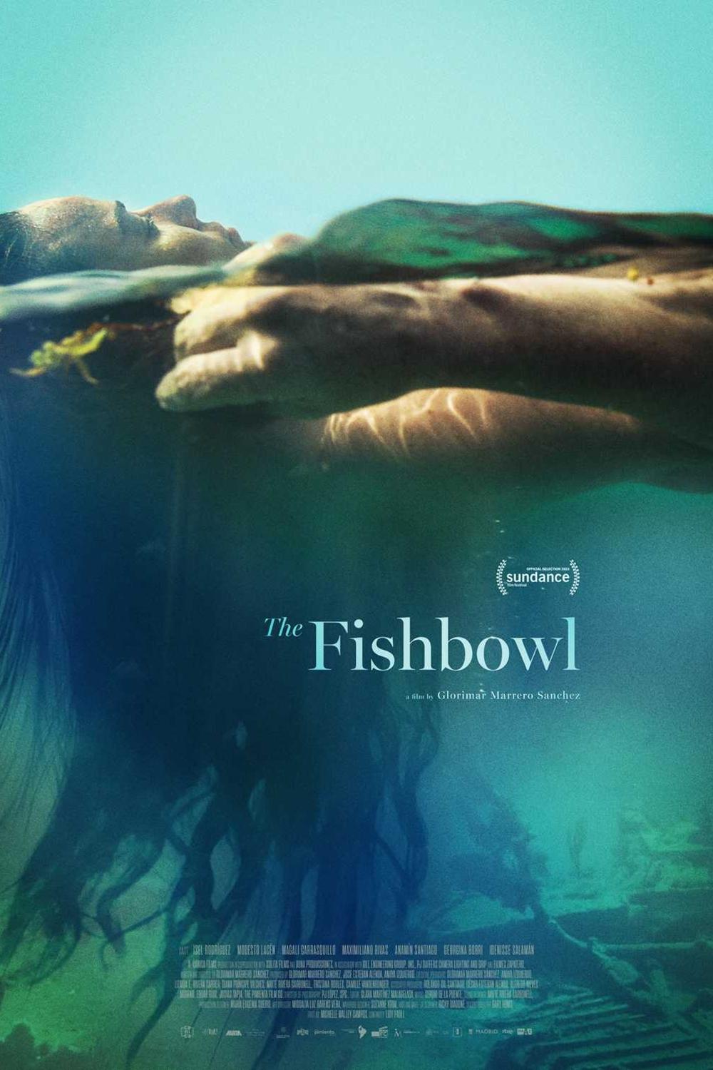 The Fishbowl - Bild 1 von 7