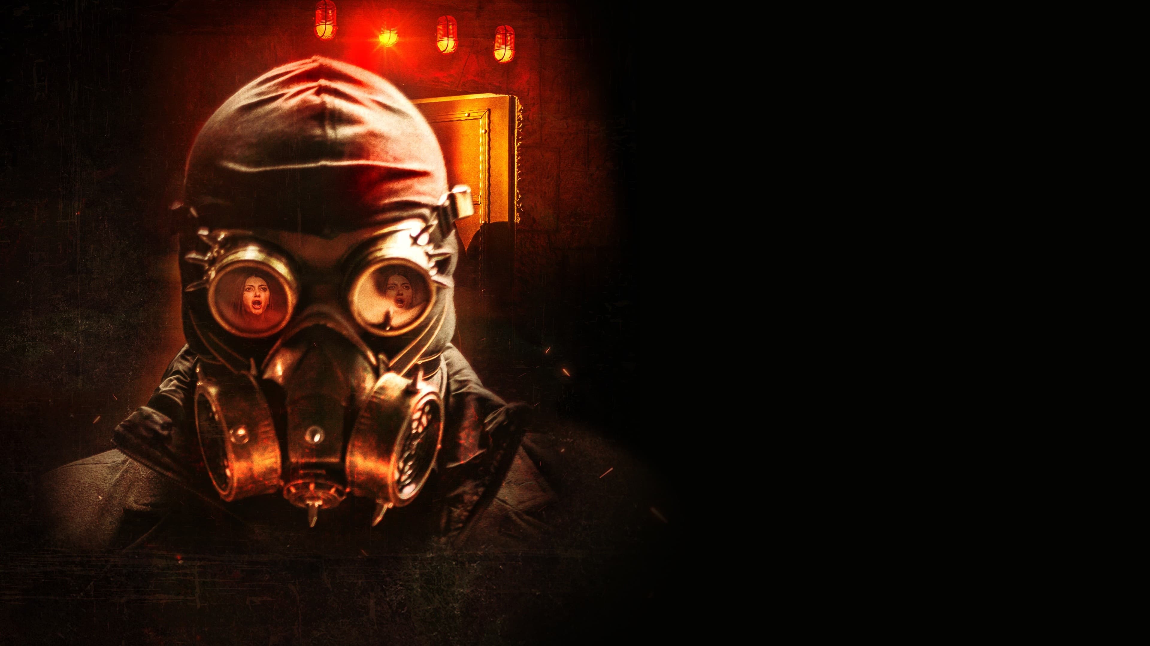 Thumbnail 8 von 11