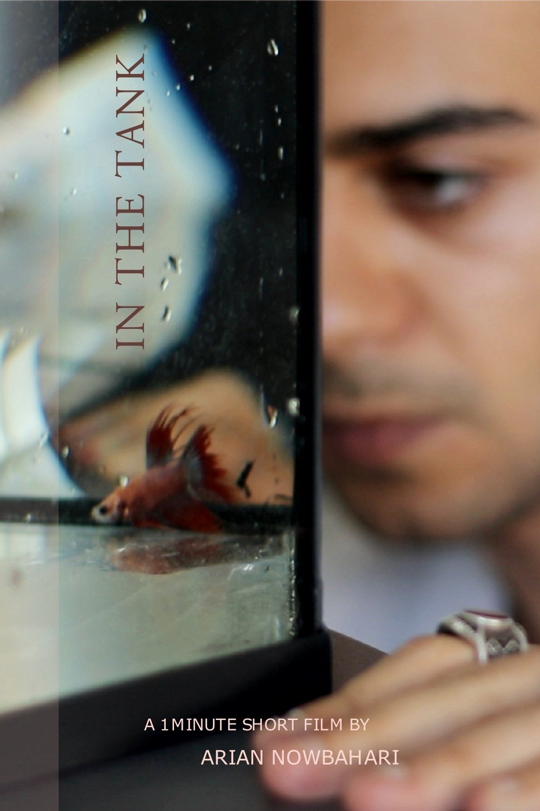 In the tank - Bild 1 von 5