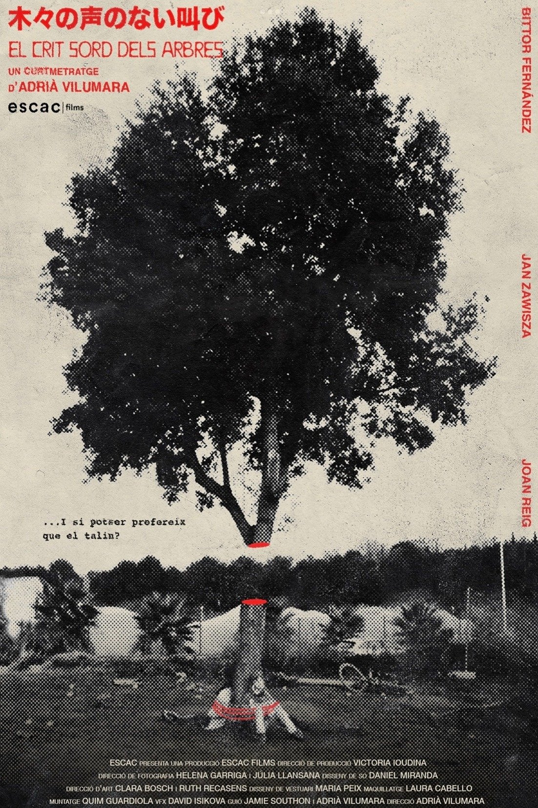 The silent cry of the trees - Bild 1 von 5