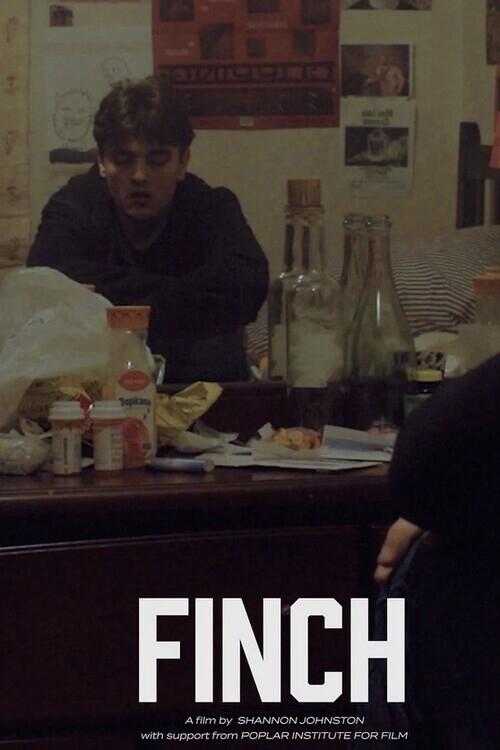 Finch - Bild 1 von 3
