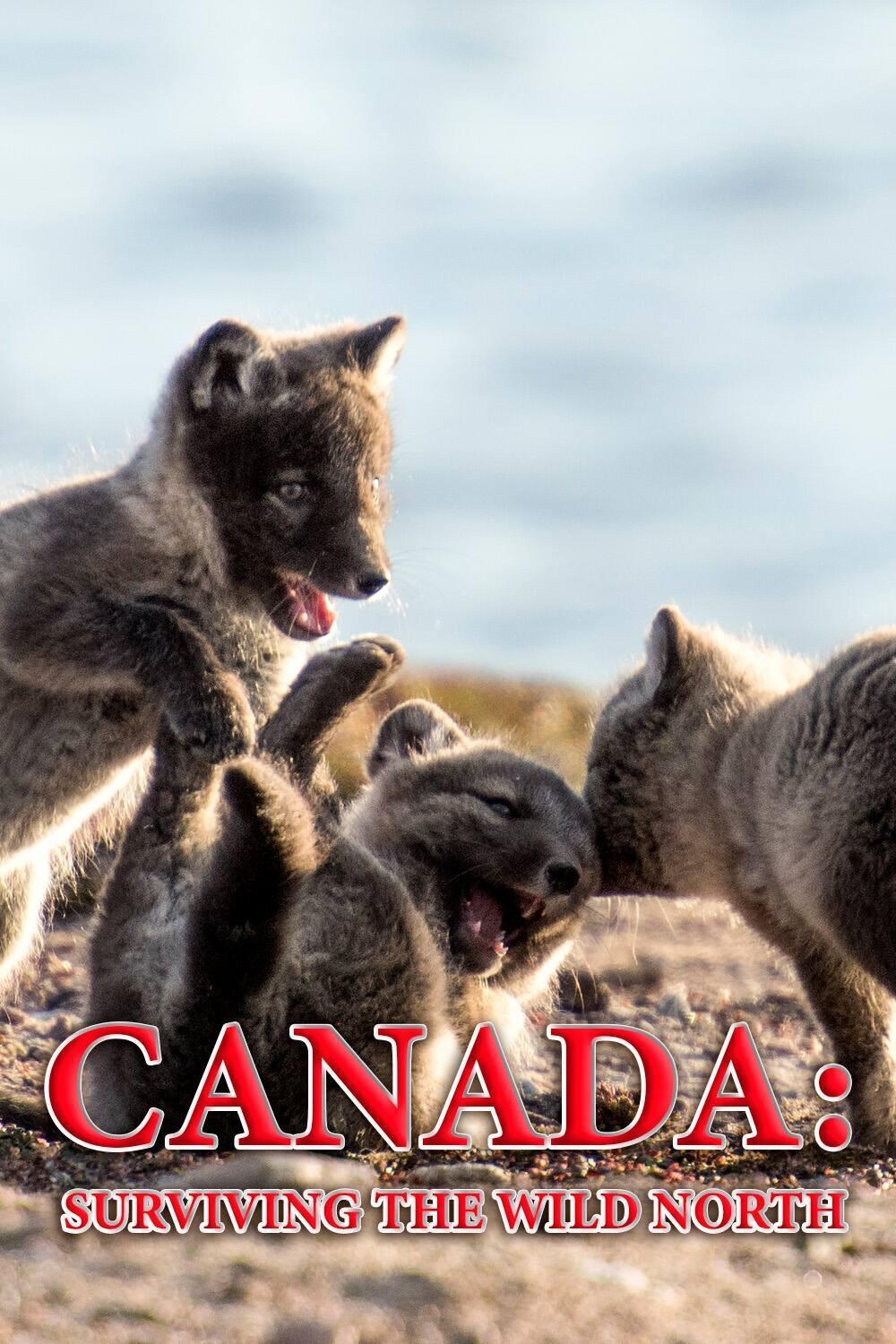 Canada: Surviving the Wild North - Bild 1 von 7