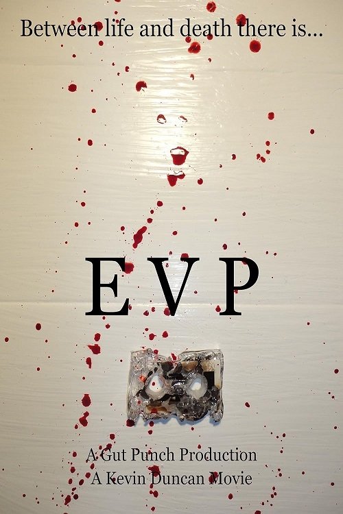 E.V.P. - Bild 1 von 2