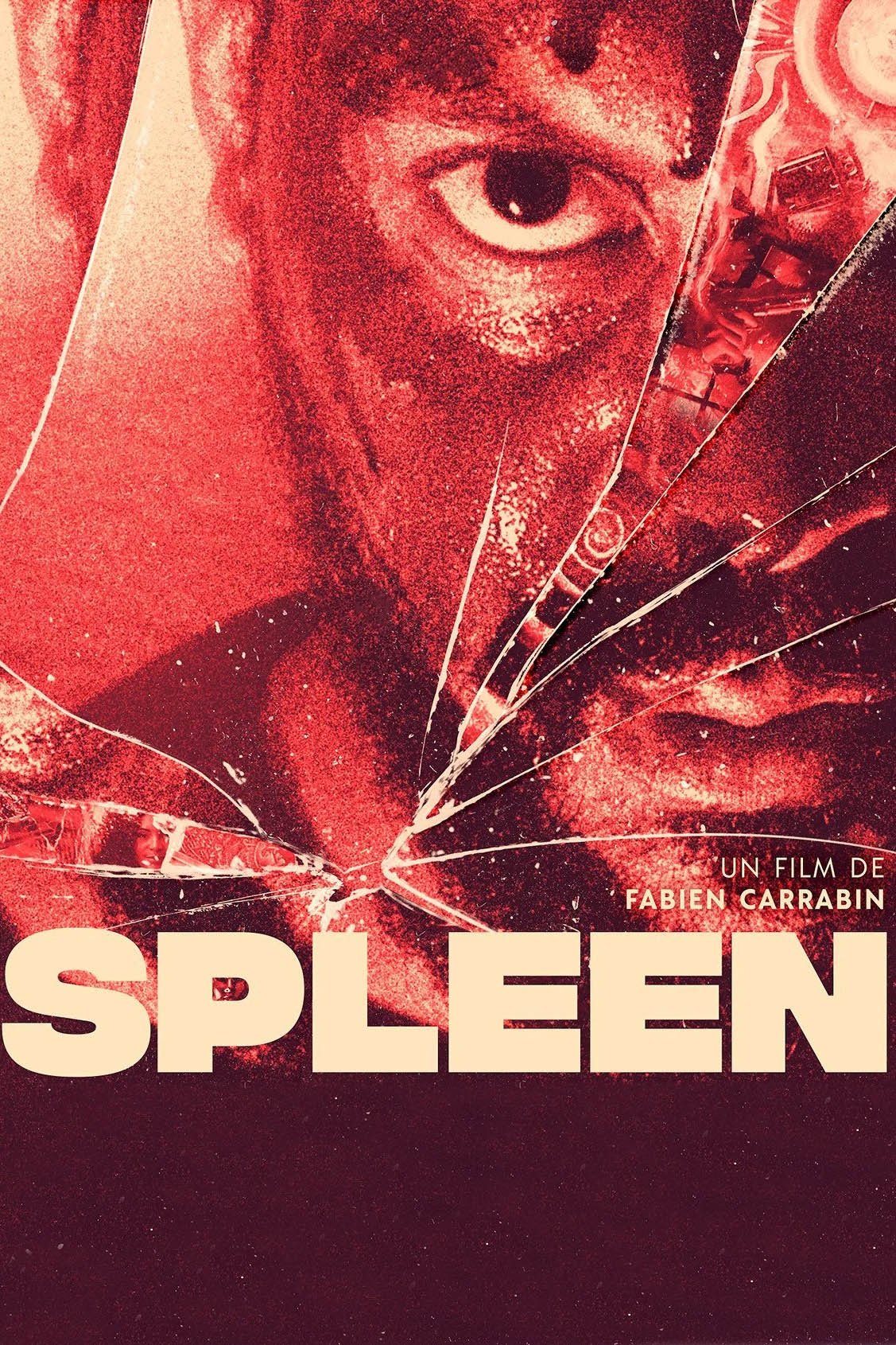 Spleen - Bild 1 von 9