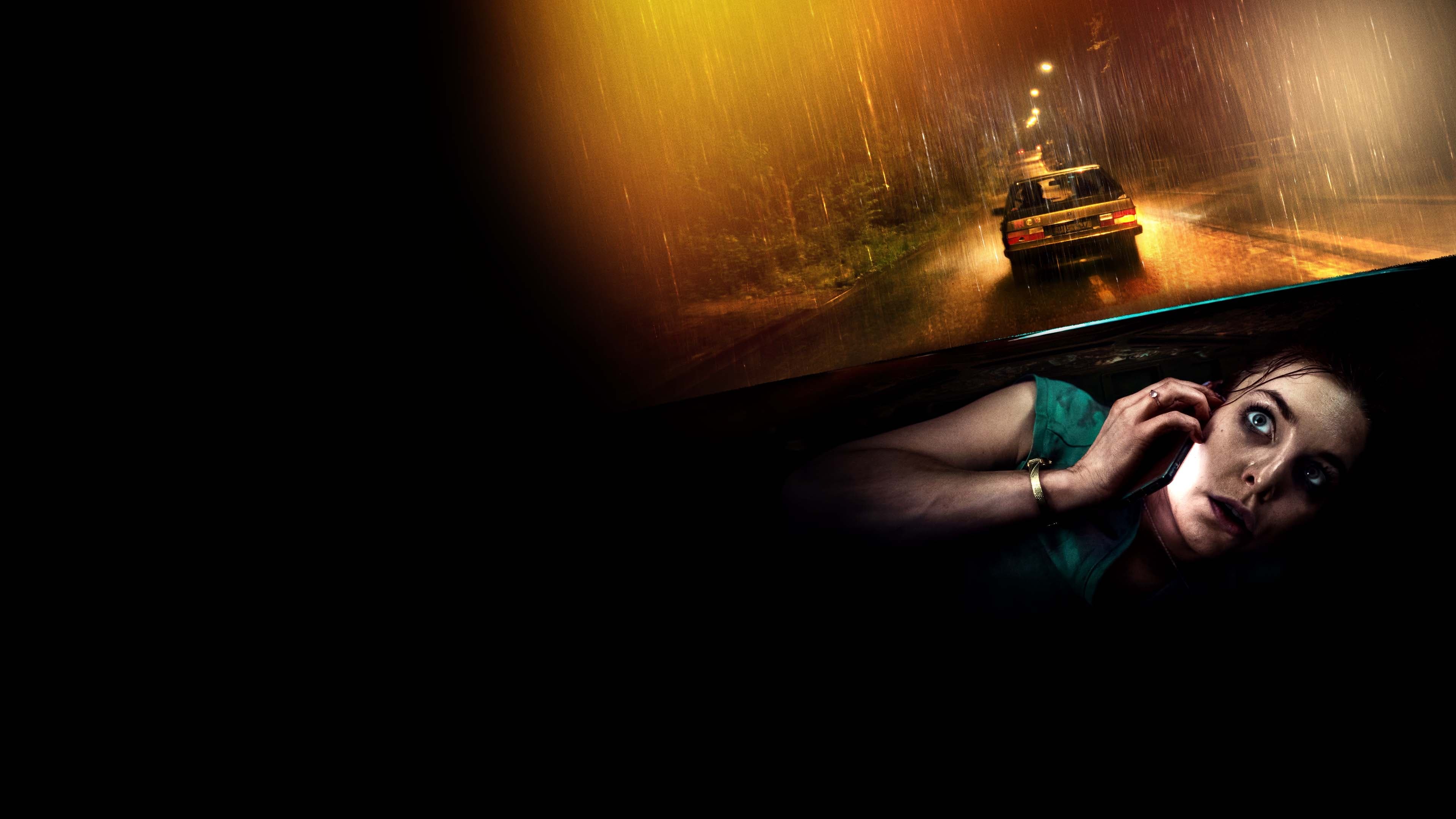 Thumbnail 11 von 11