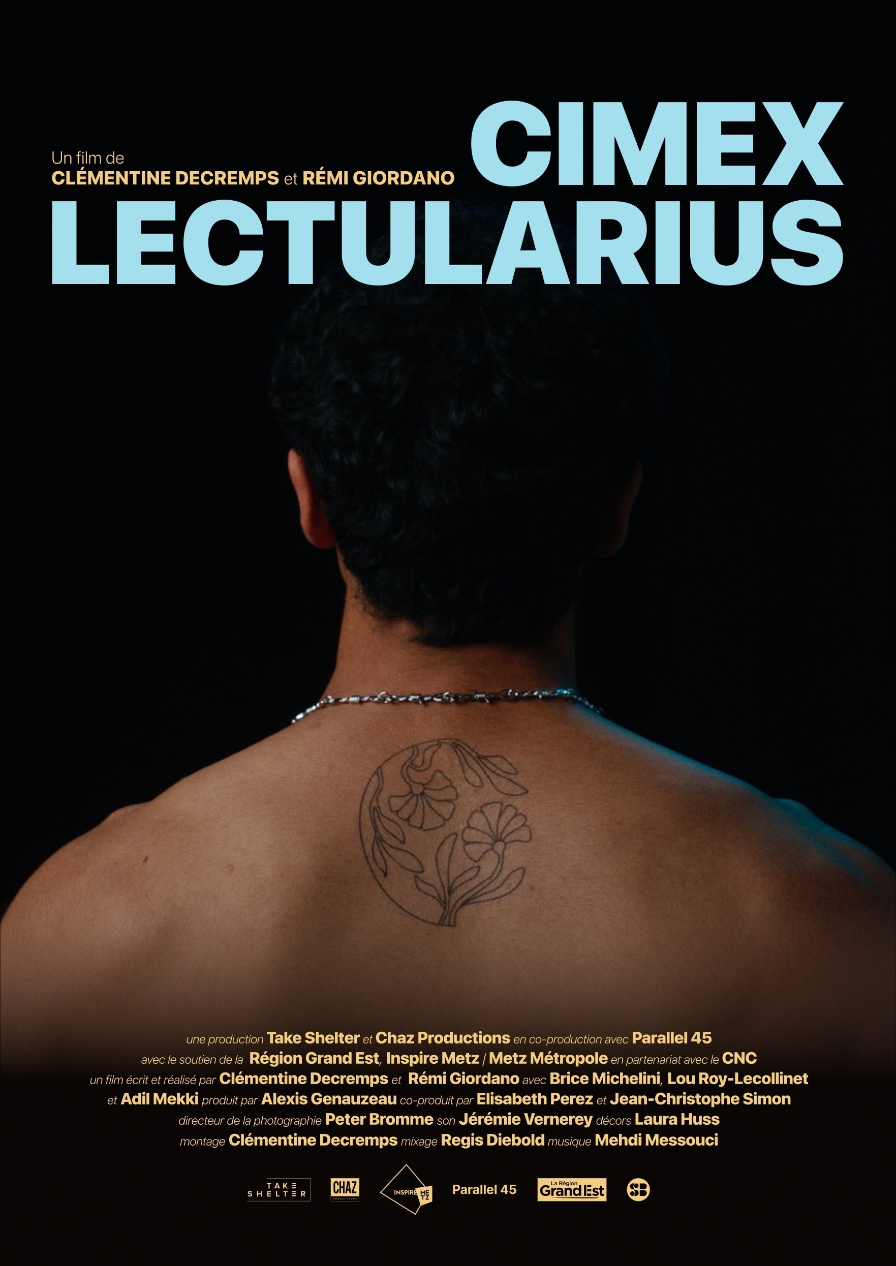 Cimex Lectularius - Bild 1 von 2