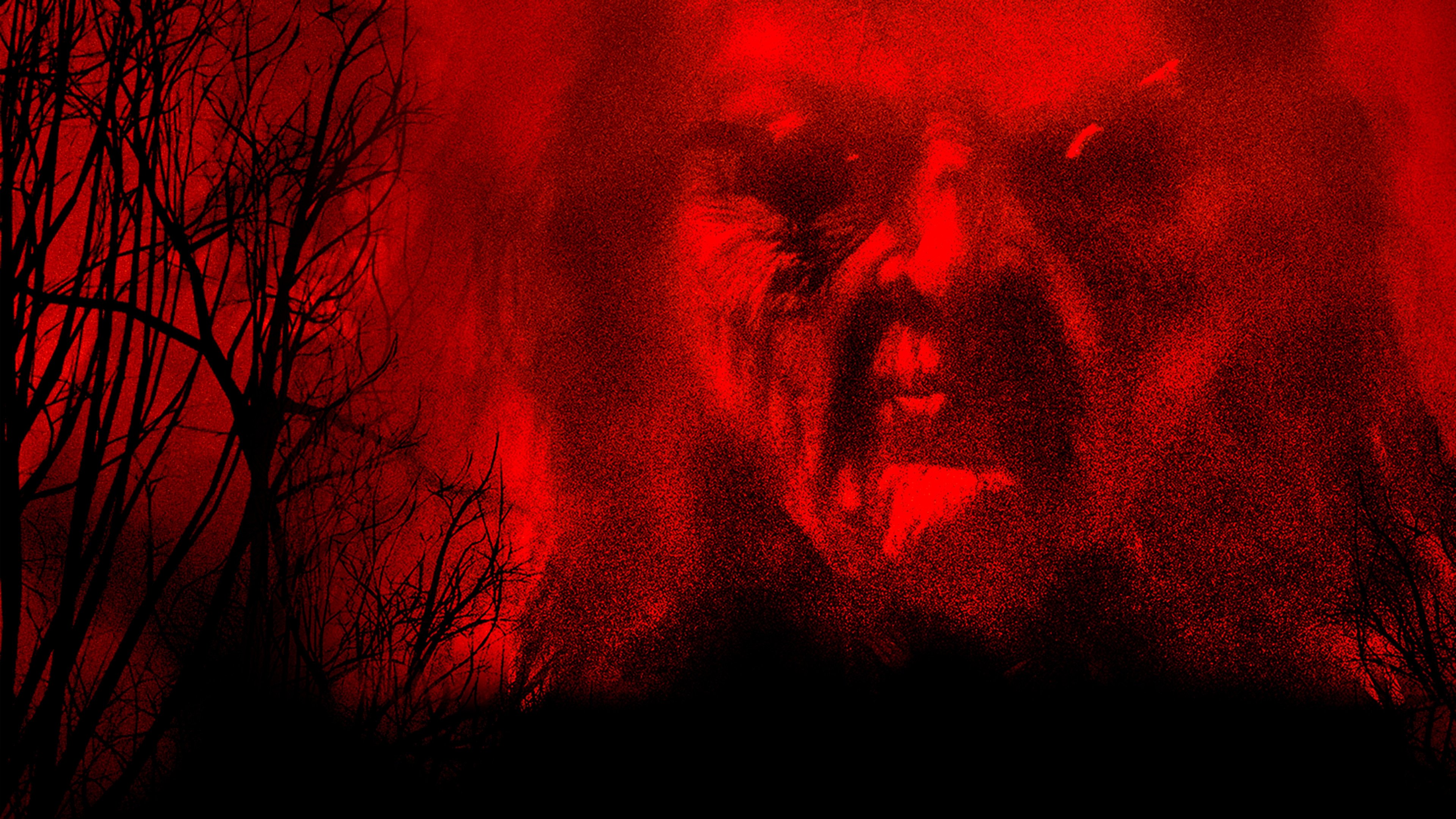 Thumbnail 5 von 7