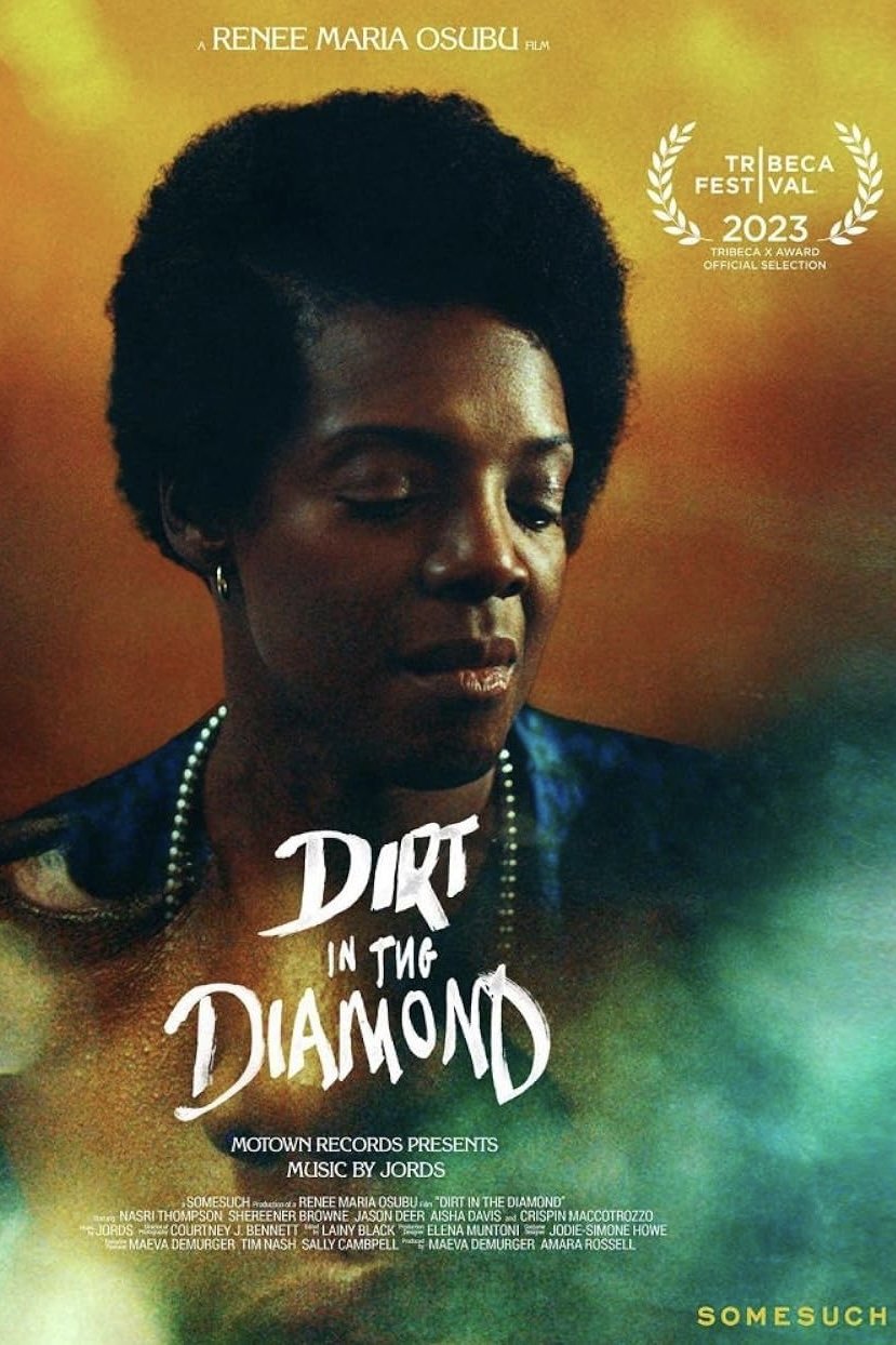 Dirt in the Diamond - Bild 1 von 3
