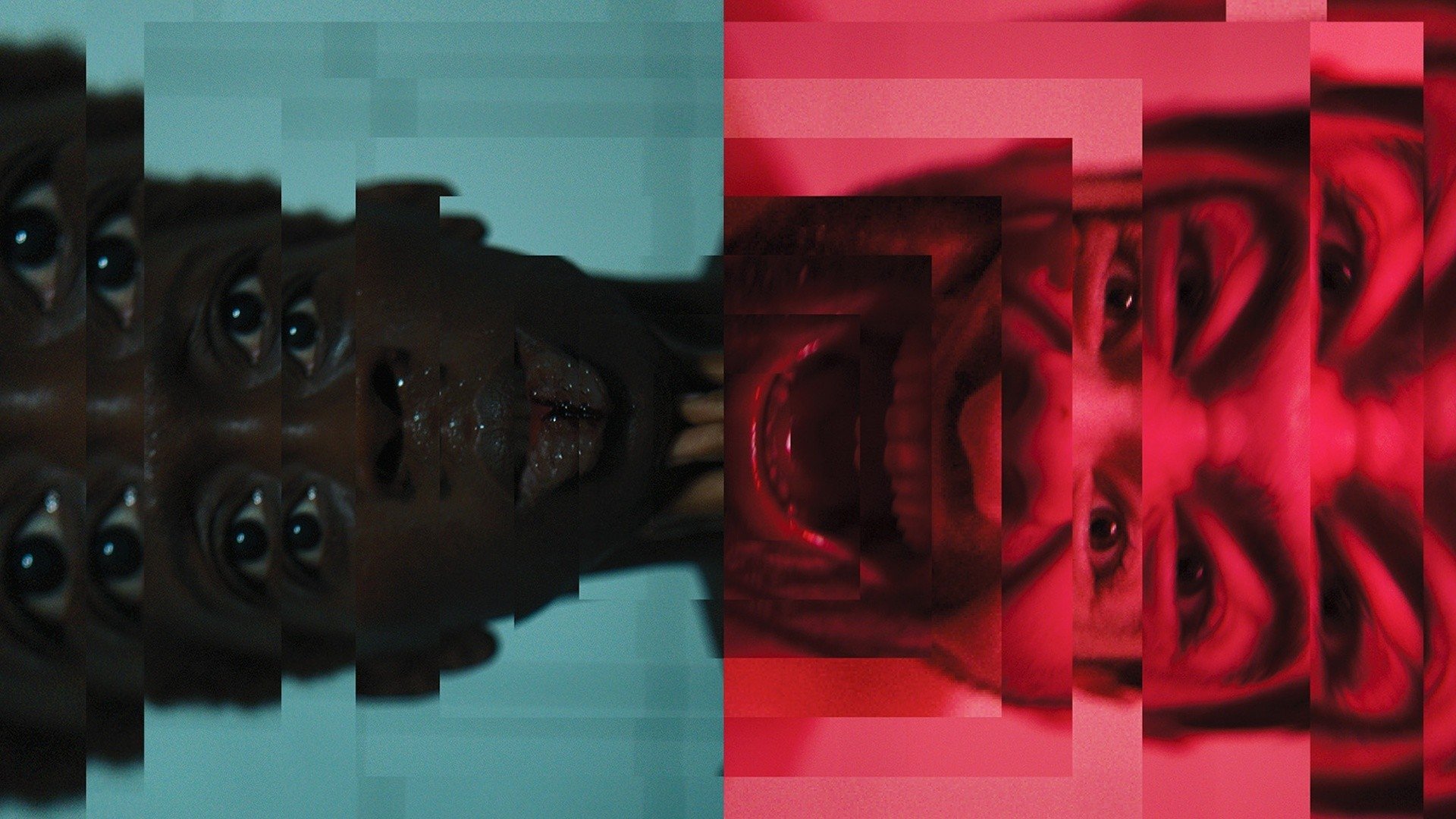Thumbnail 6 von 7