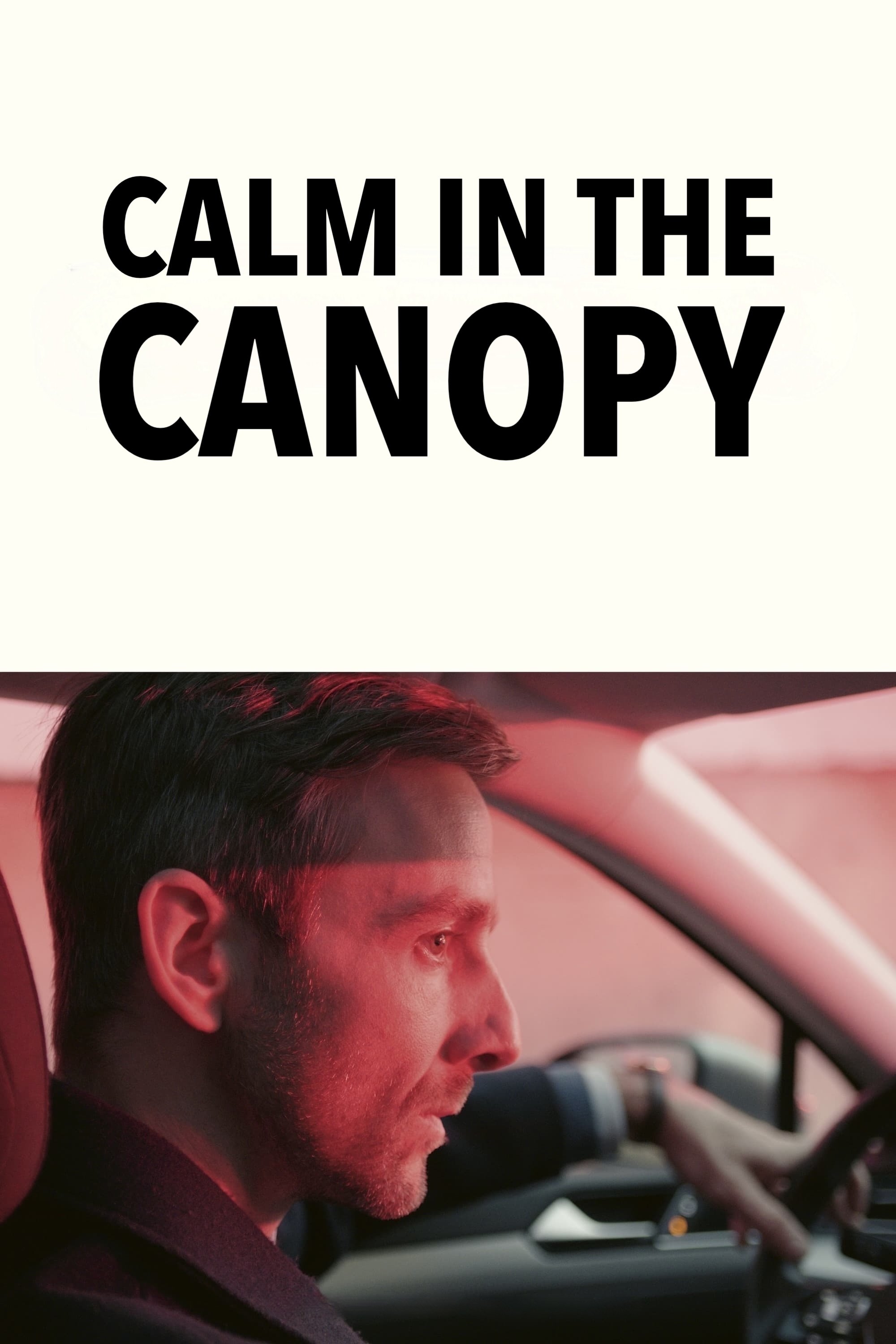 Calm in the Canopy - Bild 1 von 9