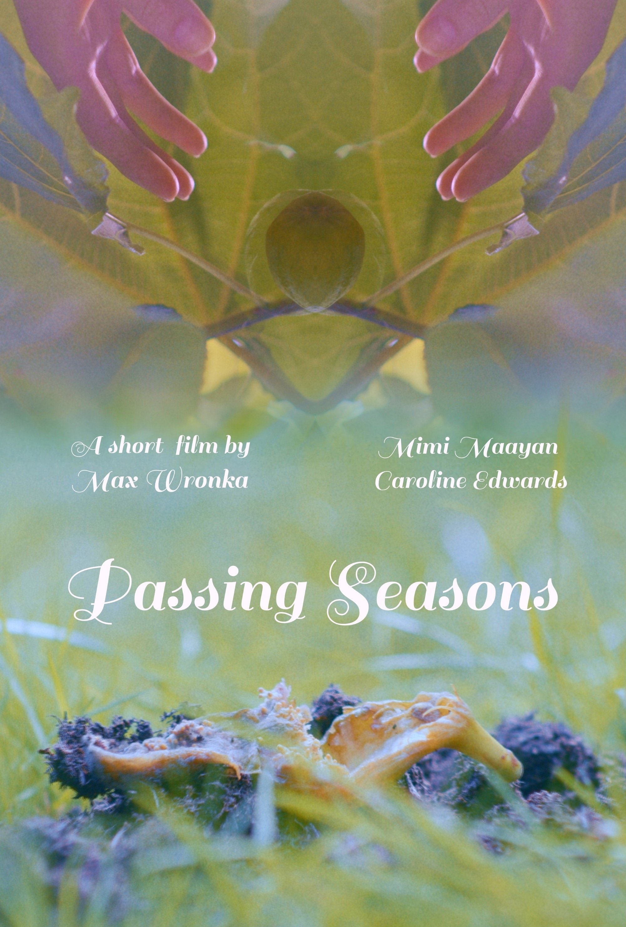 Passing Seasons - Bild 1 von 3